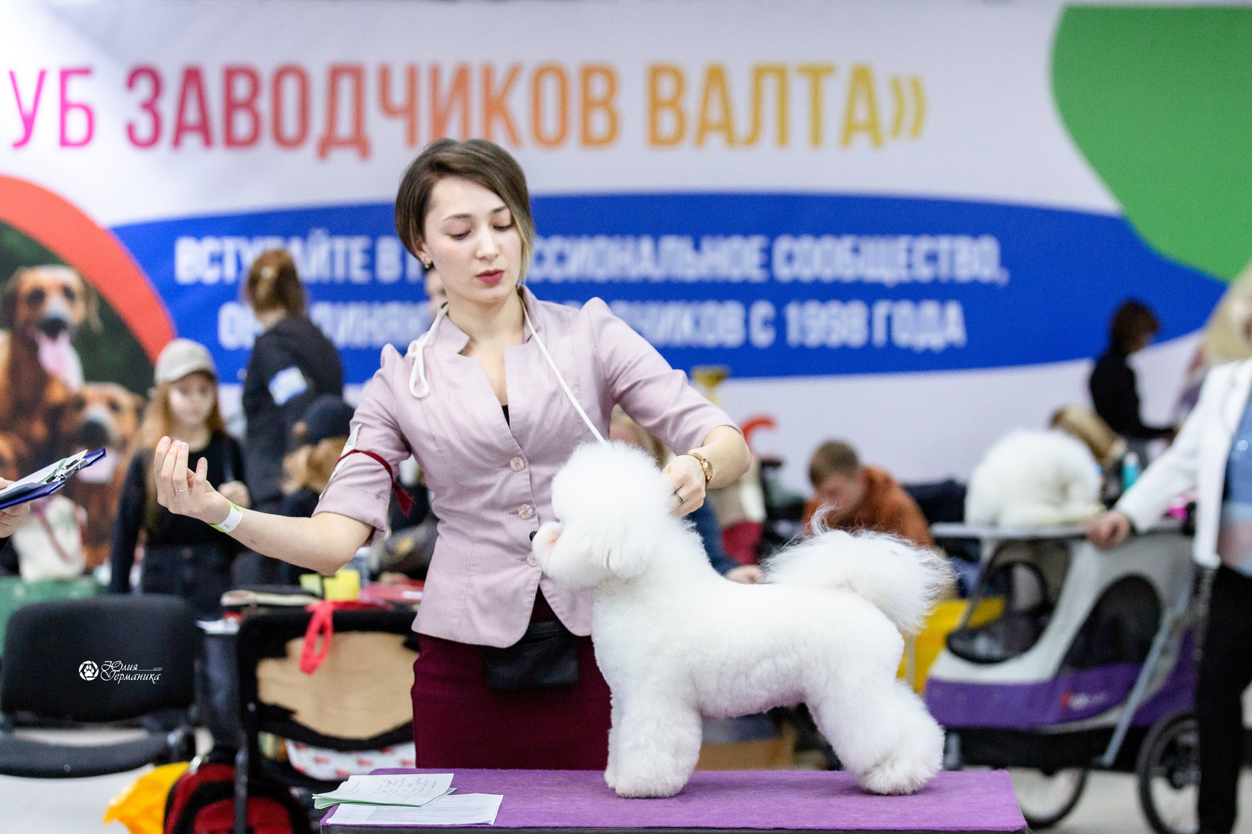 Чайна-Таун 12-13 февраля 2022. Фотограф-анималист Юлия Германика