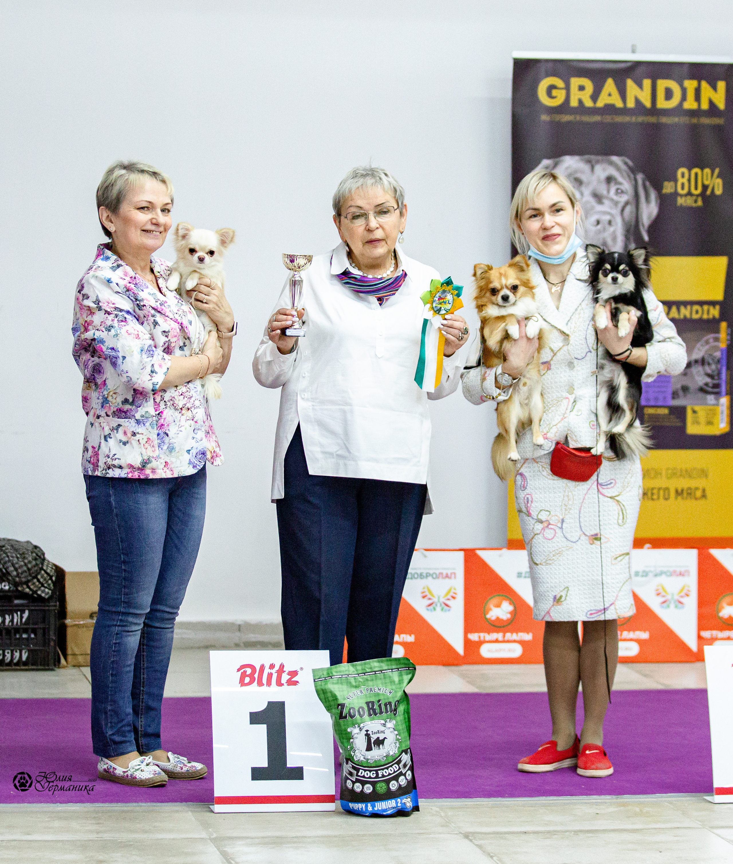 Чайна-Таун 29-30 января 2022. Фотограф-анималист Юлия Германика