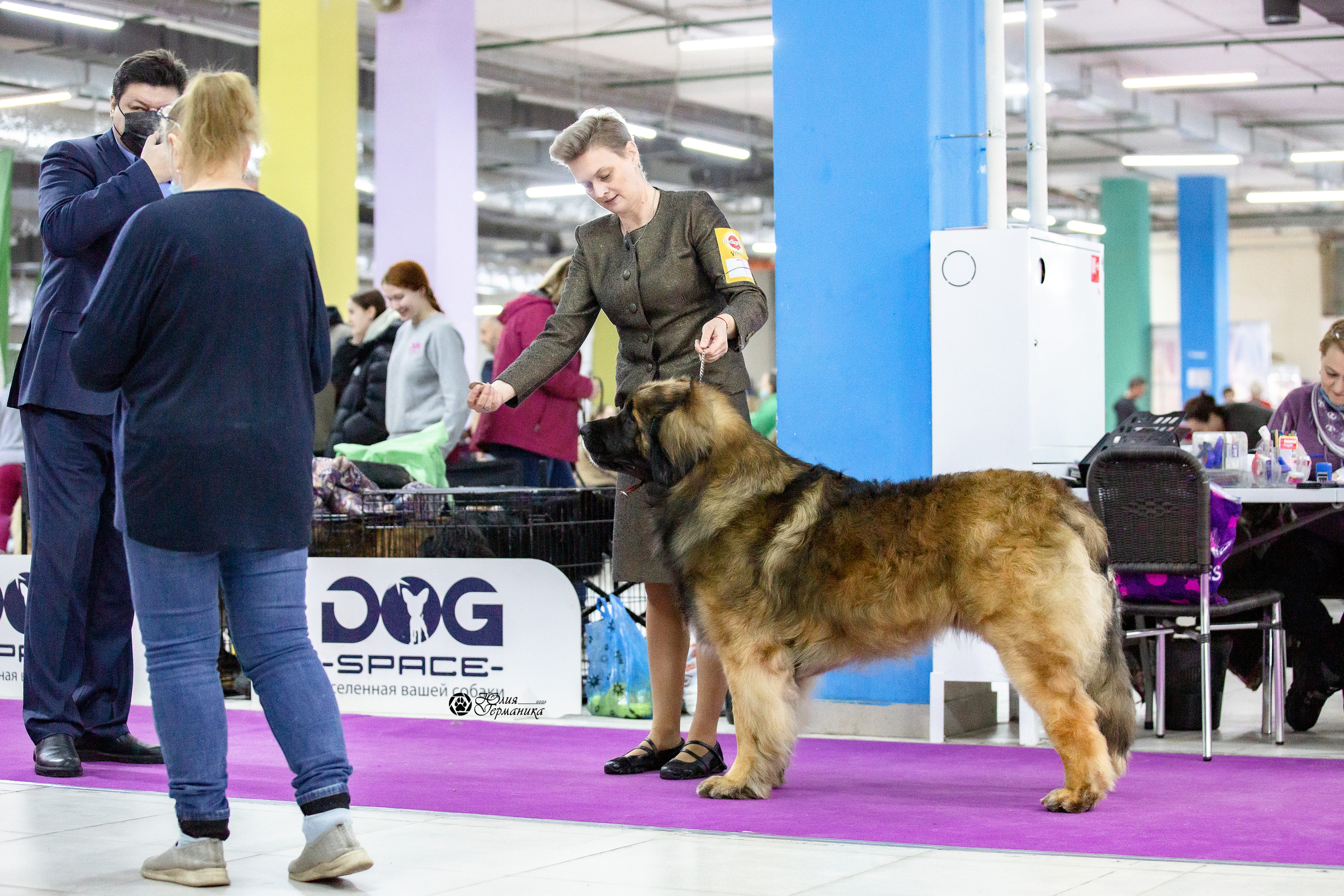 Чайна-Таун 29-30 января 2022. Фотограф-анималист Юлия Германика