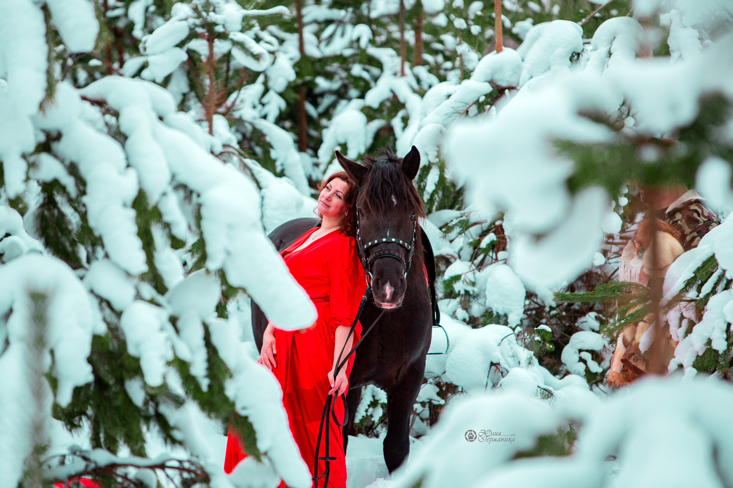 Съёмки с лошадьми. Фотограф-анималист Юлия Германика