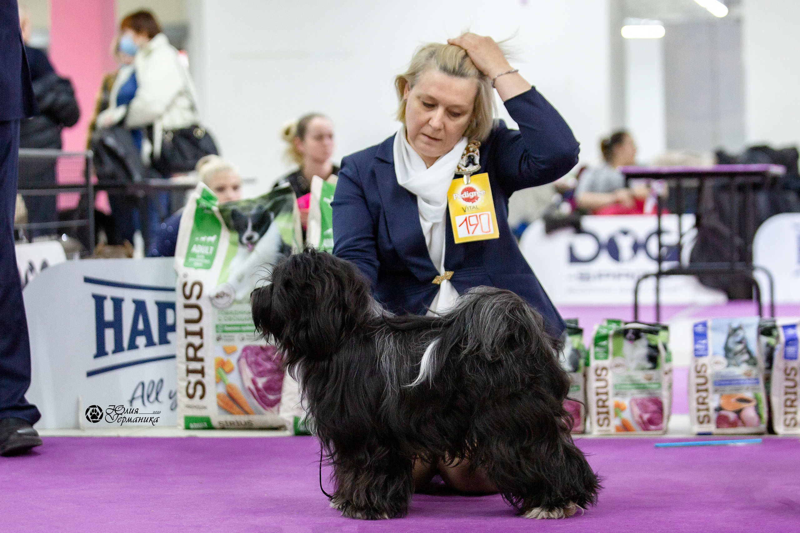Чайна-Таун 29-30 января 2022. Фотограф-анималист Юлия Германика