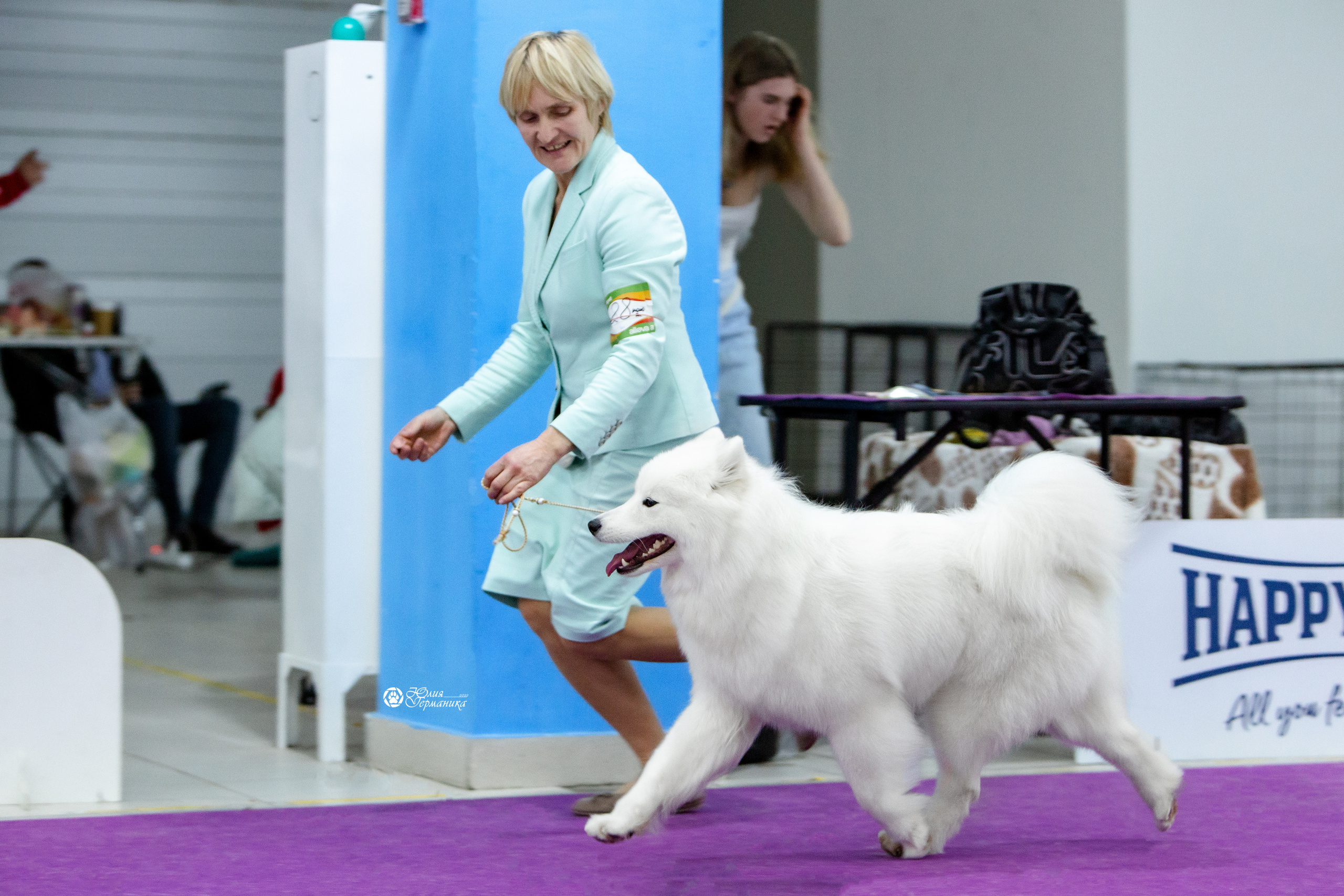 Чайна-Таун 18,26 и 29 декабря 2021. Фотограф-анималист Юлия Германика