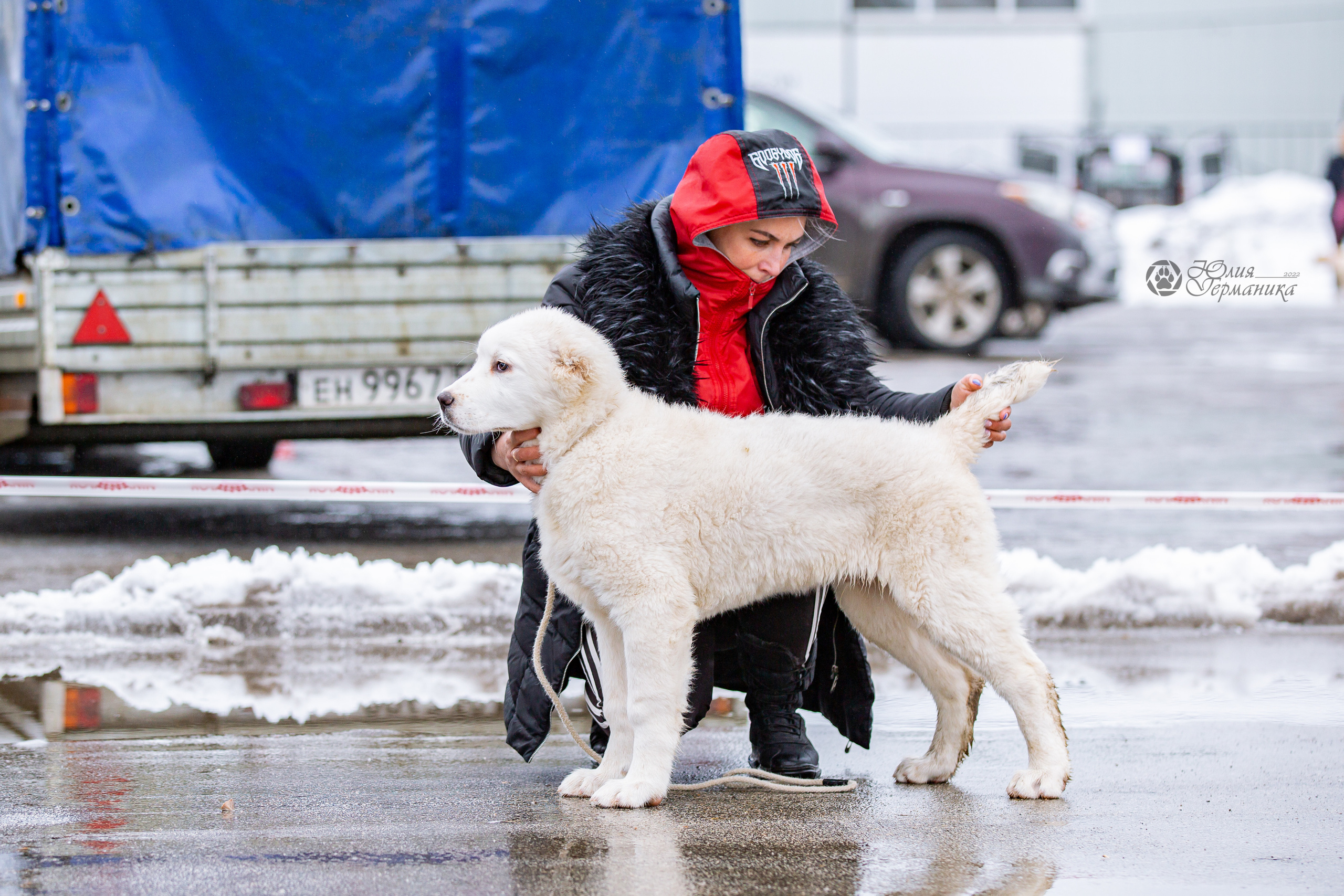 2хМОНО САО Рязань 02 апреля 2022. Фотограф-анималист Юлия Германика
