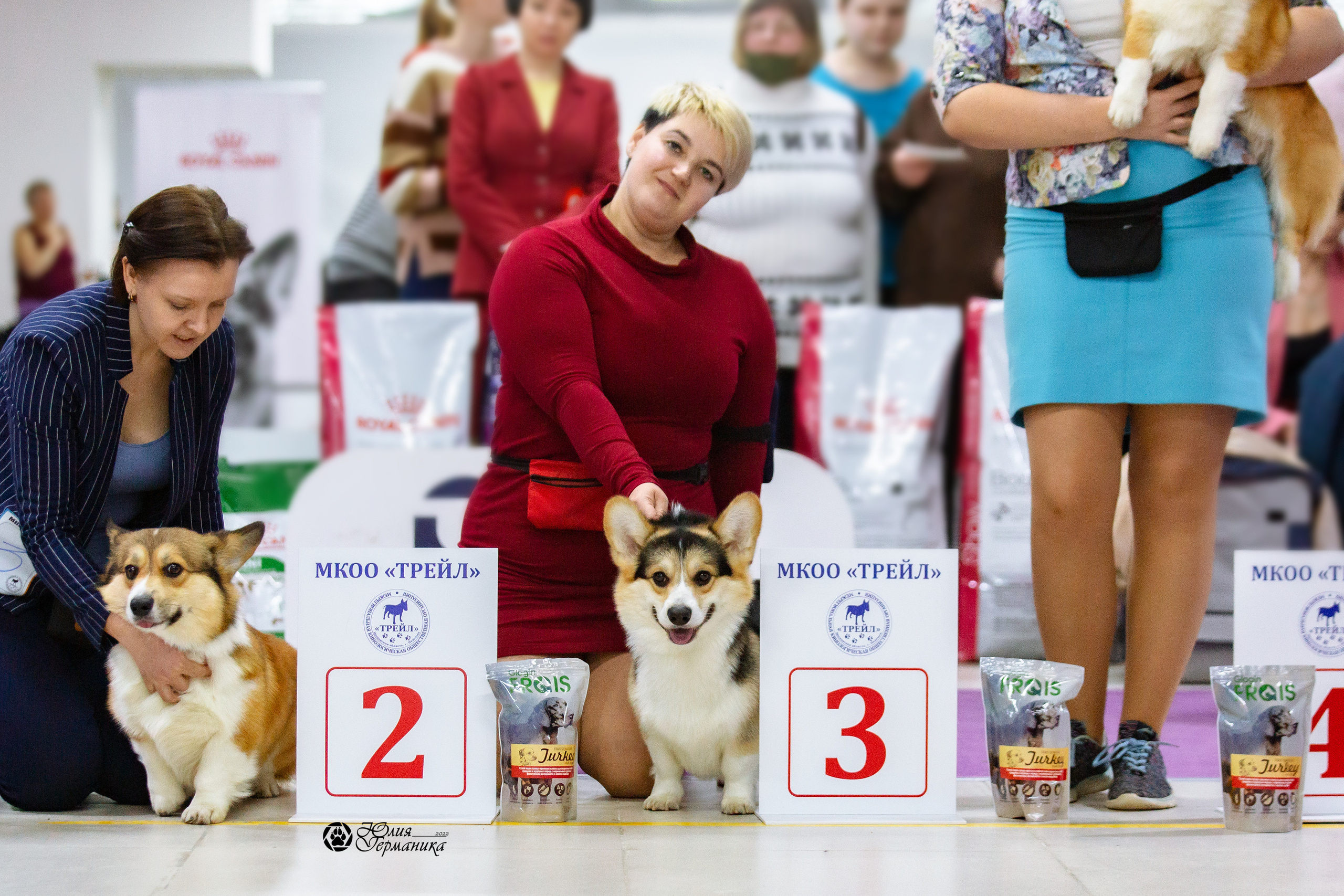 Чайна-Таун 27 февраля 2022. Фотограф-анималист Юлия Германика