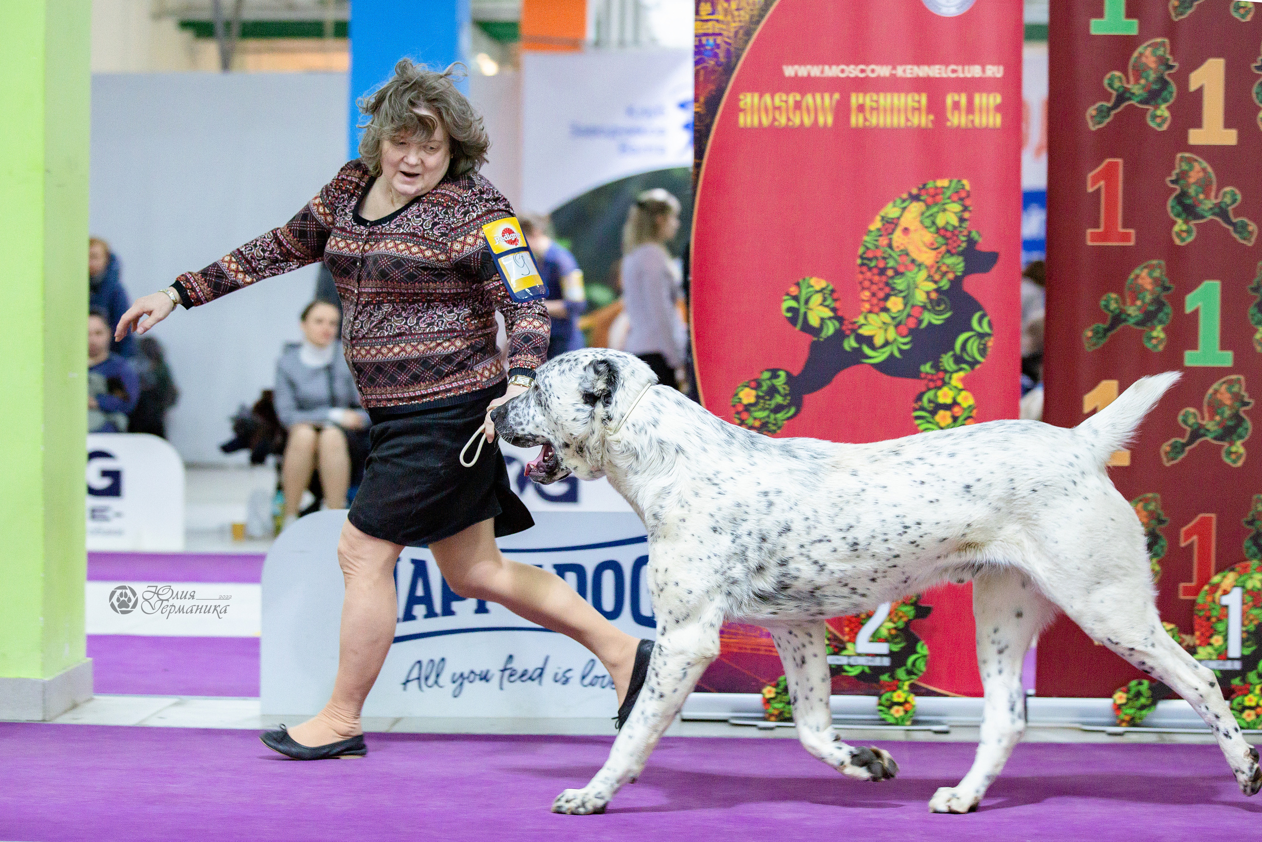 Чайна-Таун 24 и 27 марта 2022. Фотограф-анималист Юлия Германика