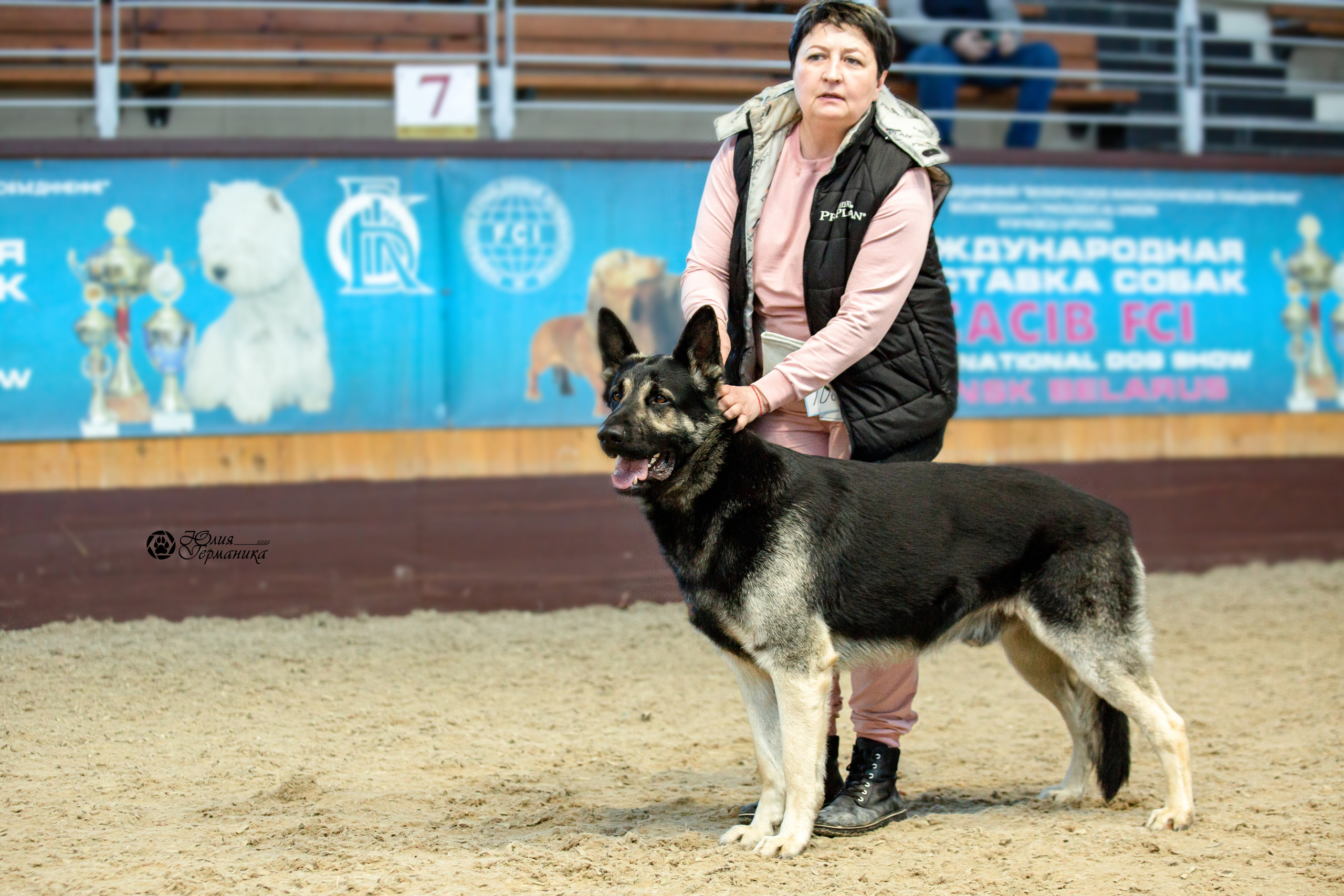 Минск 2хCACIB 5-6 марта 2022. Фотограф-анималист Юлия Германика
