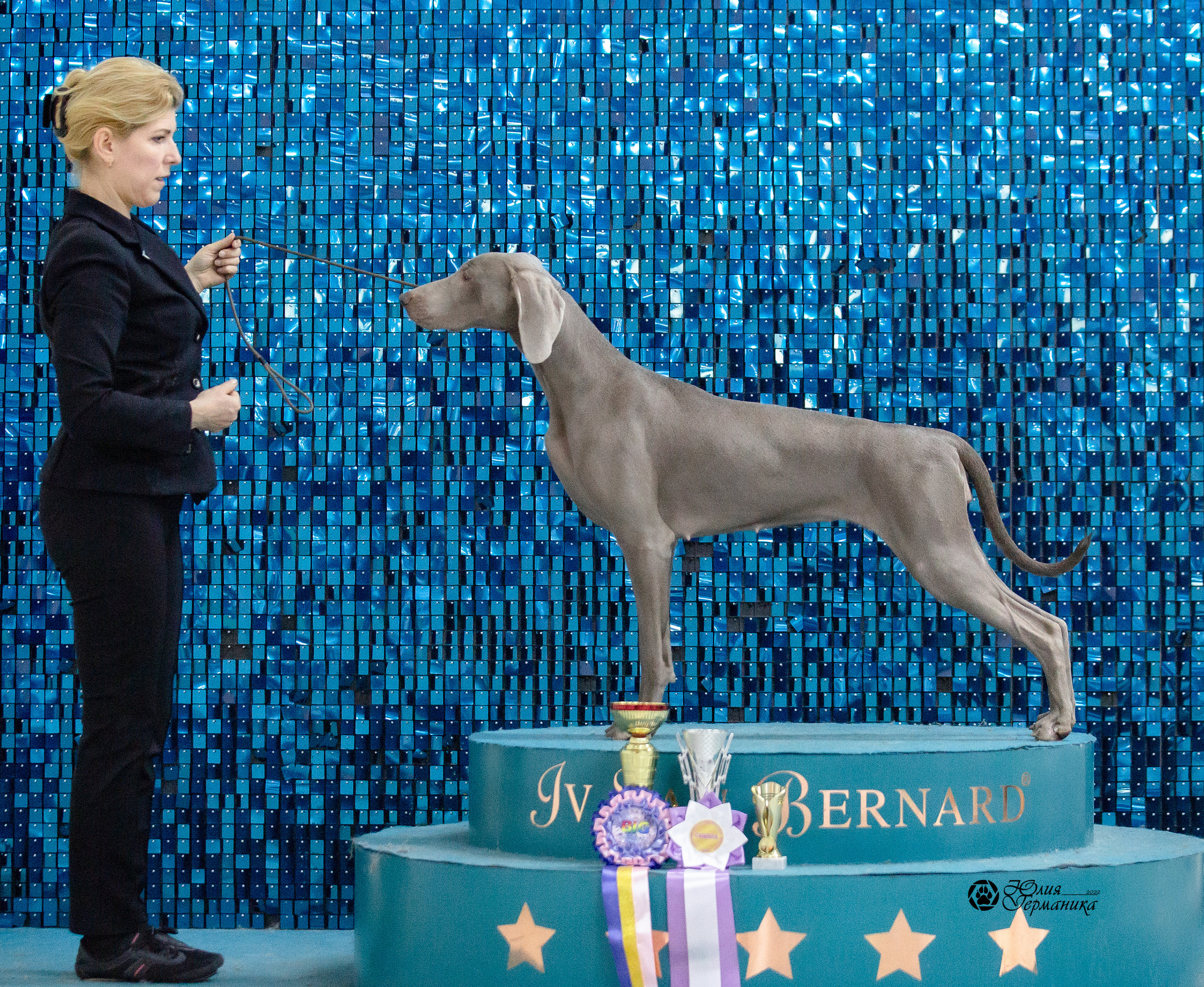 Чайна-Таун 29-30 января 2022. Фотограф-анималист Юлия Германика