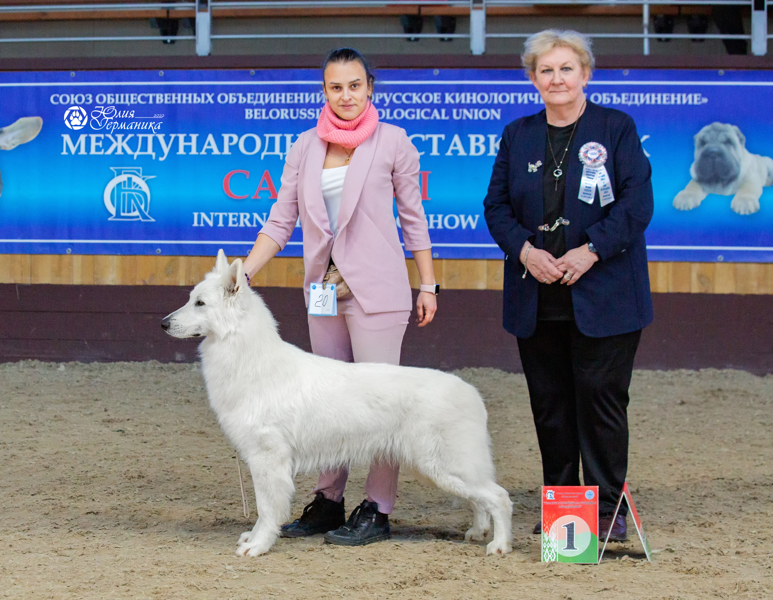 Минск 2хCACIB 5-6 марта 2022. Фотограф-анималист Юлия Германика