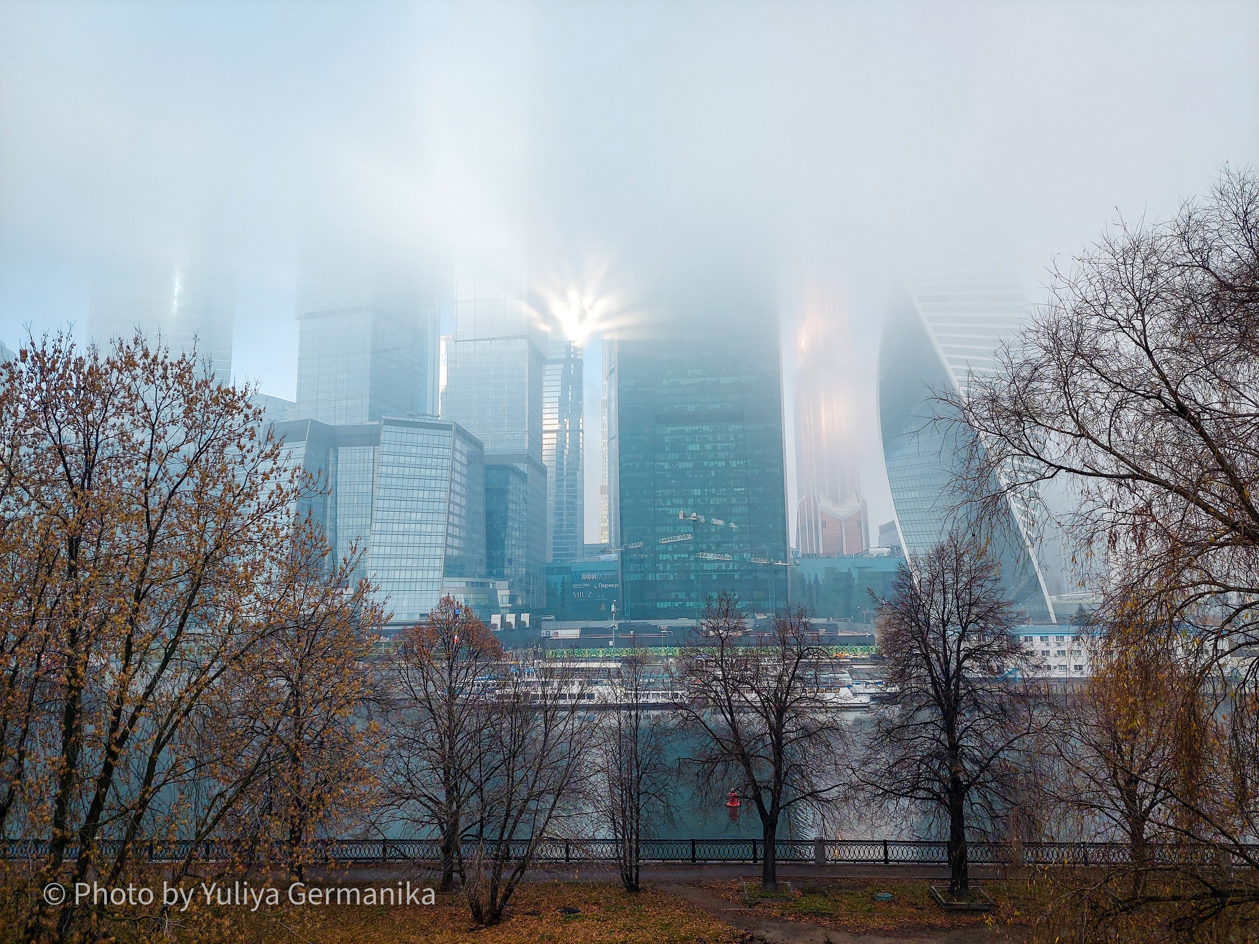 Разные фото на телефон.Города,природа. Фотограф-анималист Юлия Германика