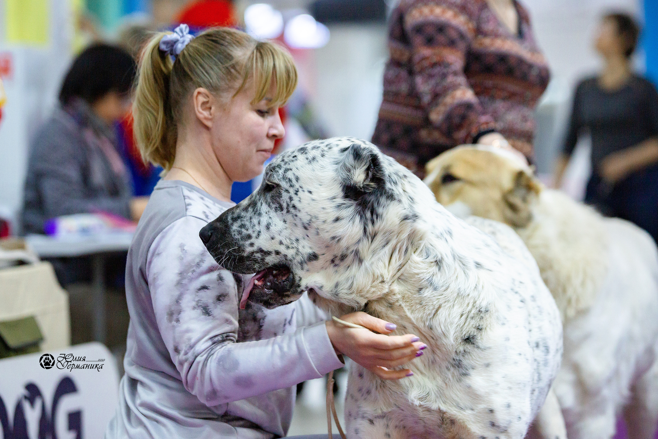 Чайна-Таун 24 и 27 марта 2022. Фотограф-анималист Юлия Германика