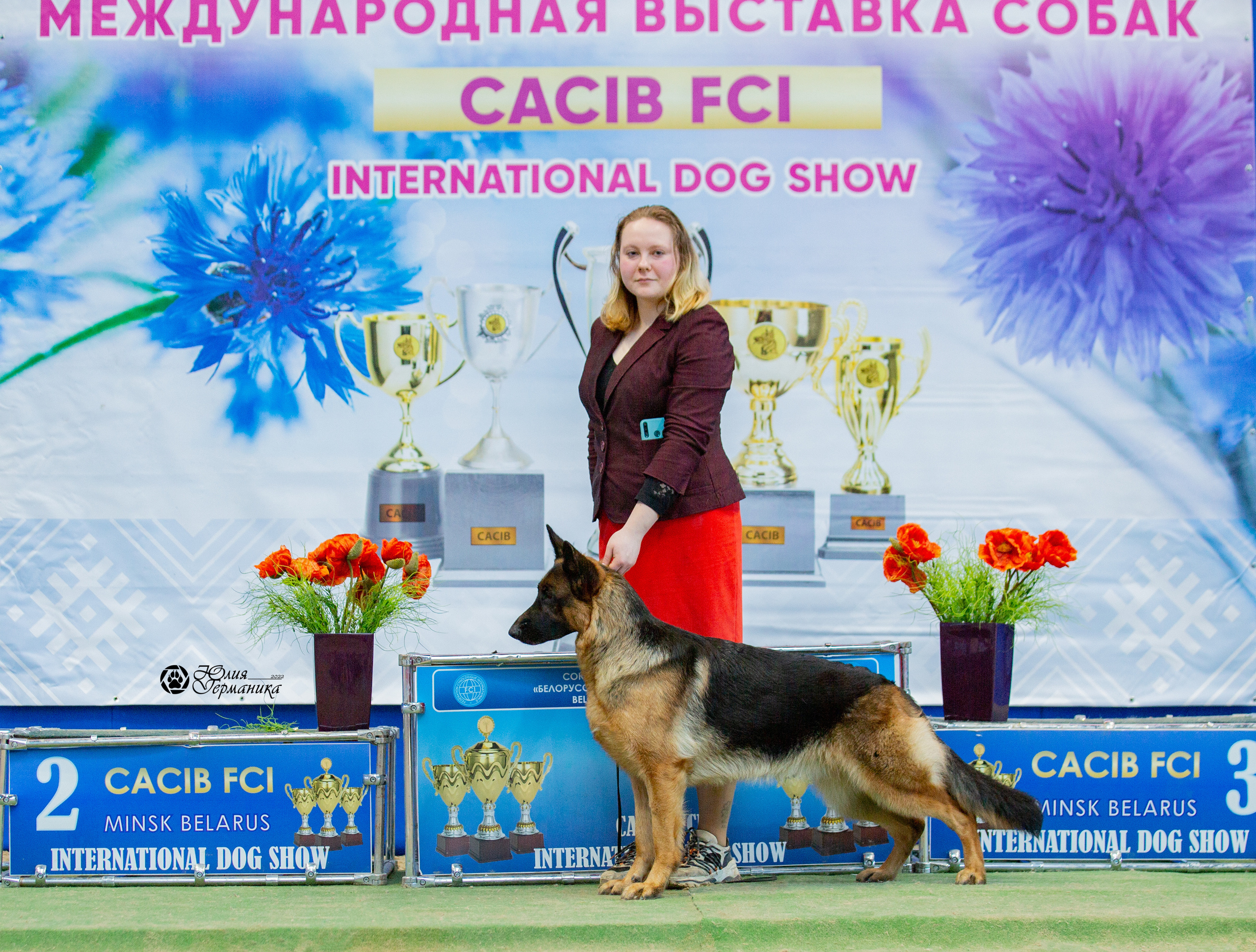 Минск 2хCACIB 5-6 марта 2022. Фотограф-анималист Юлия Германика