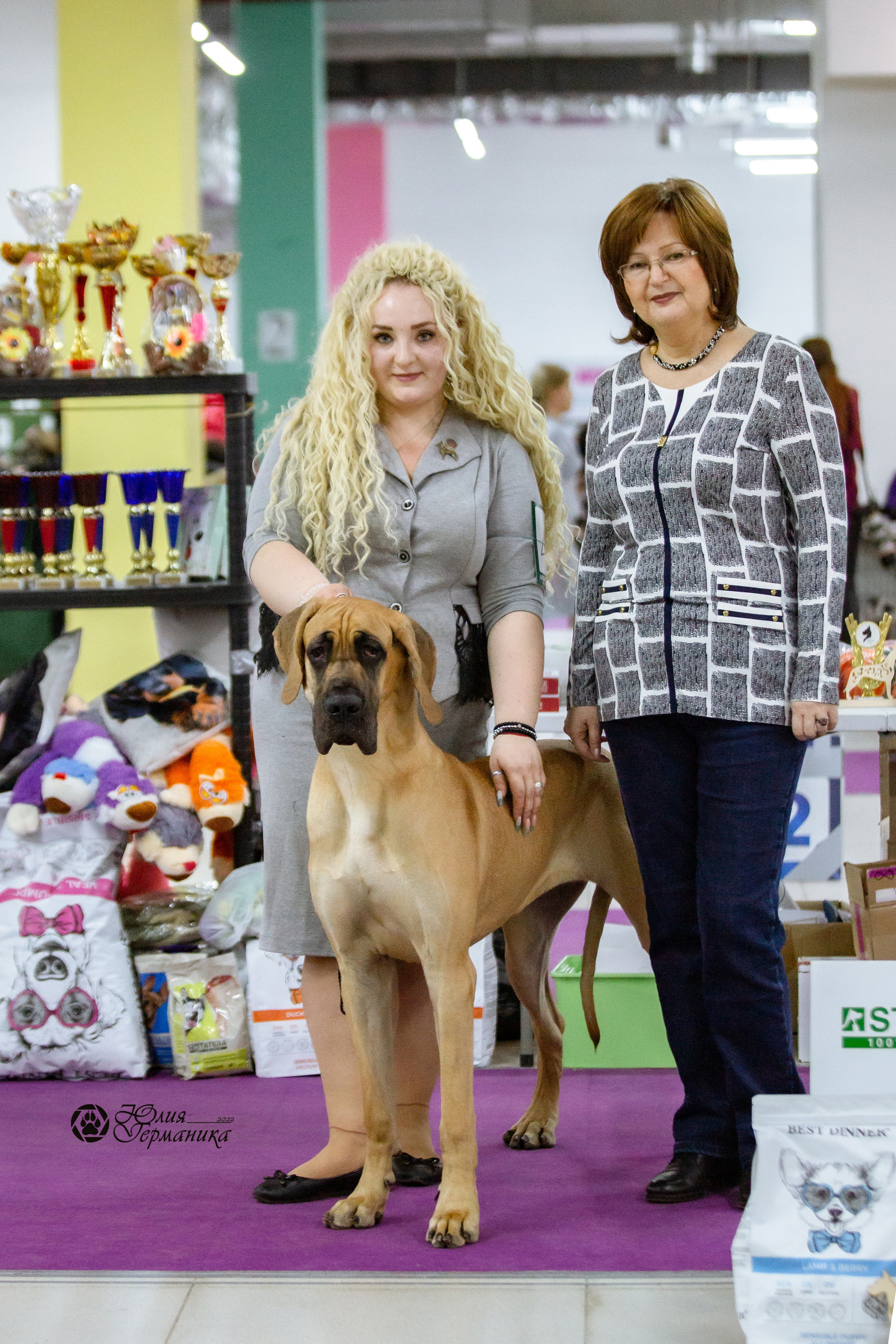 Чайна-Таун 23 февраля 2022. Фотограф-анималист Юлия Германика