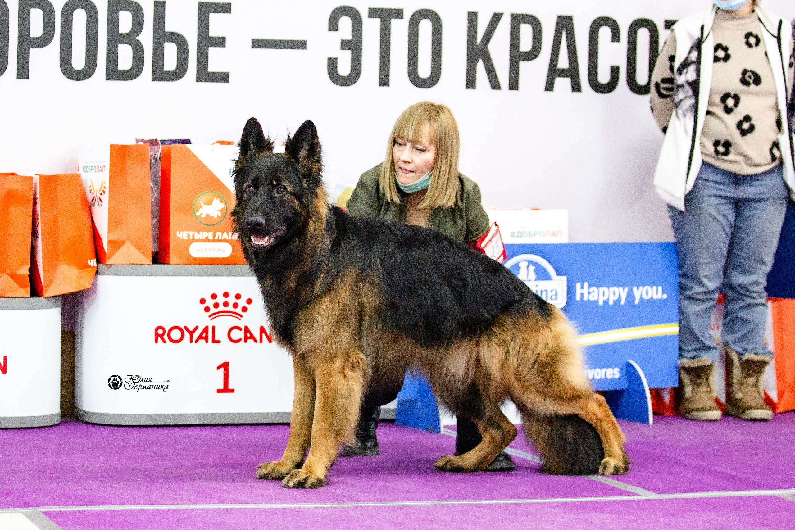 Чайна-Таун 29-30 января 2022. Фотограф-анималист Юлия Германика