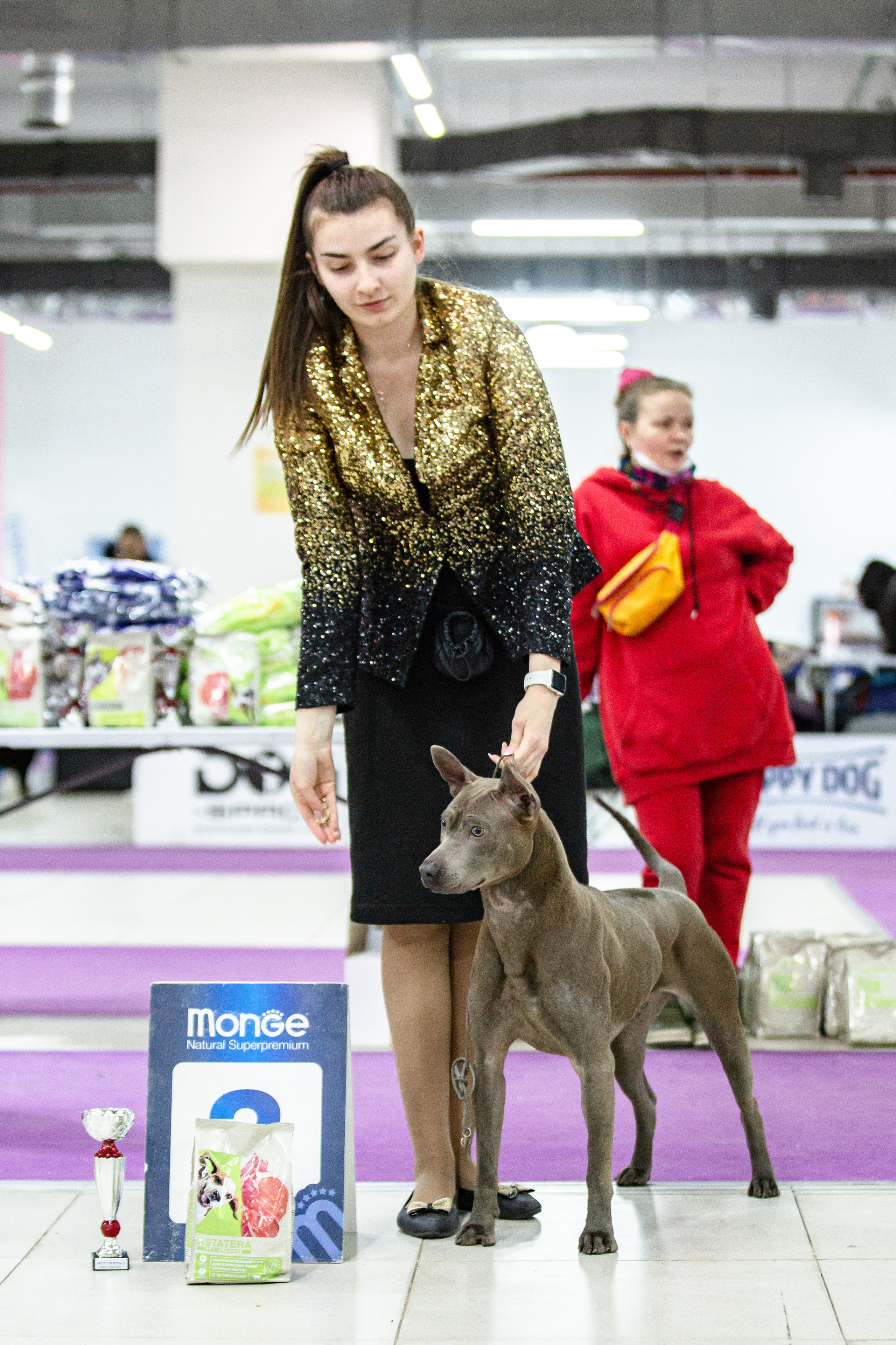 Чайна-Таун 29-30 января 2022. Фотограф-анималист Юлия Германика