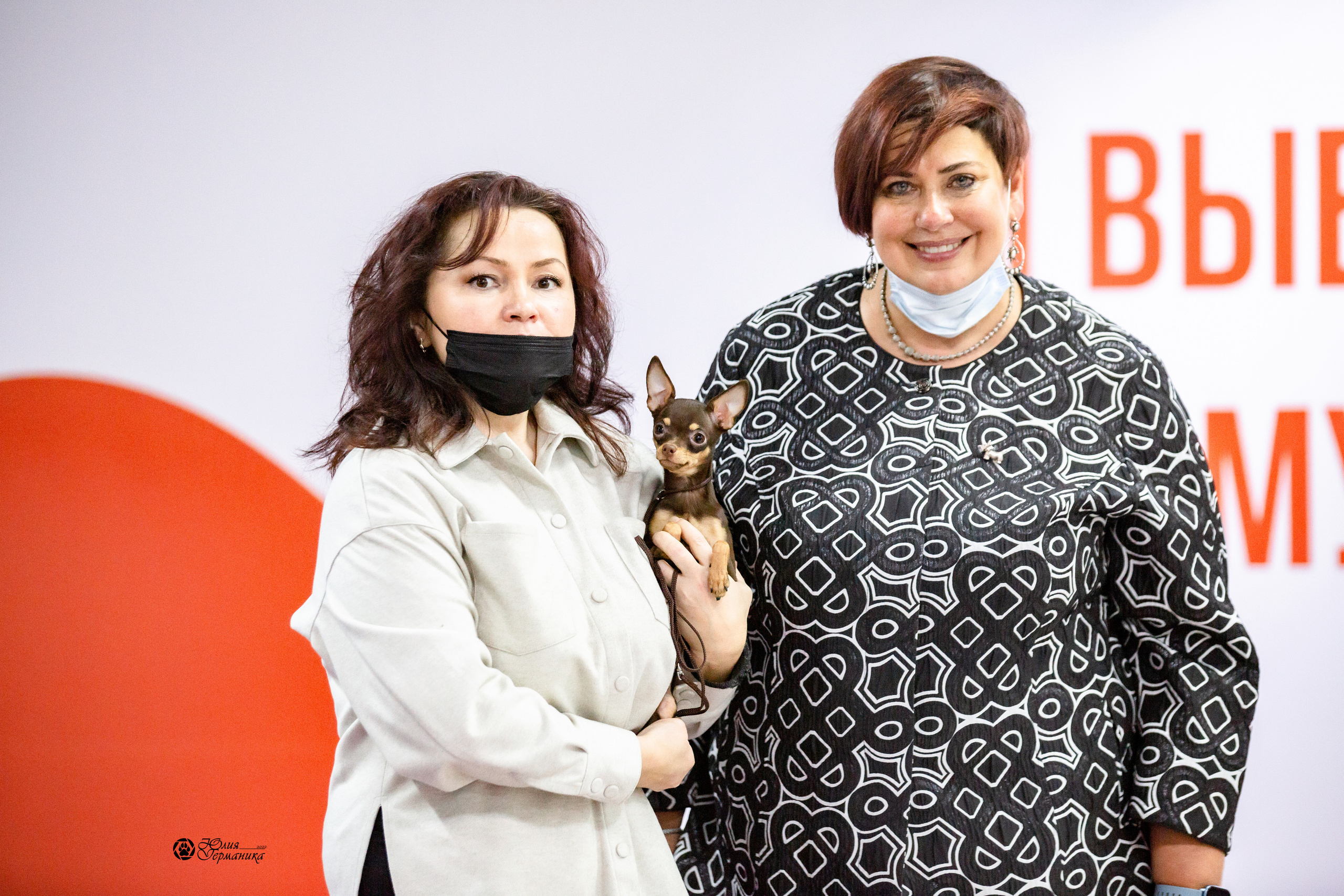 Чайна-Таун 12-13 февраля 2022. Фотограф-анималист Юлия Германика