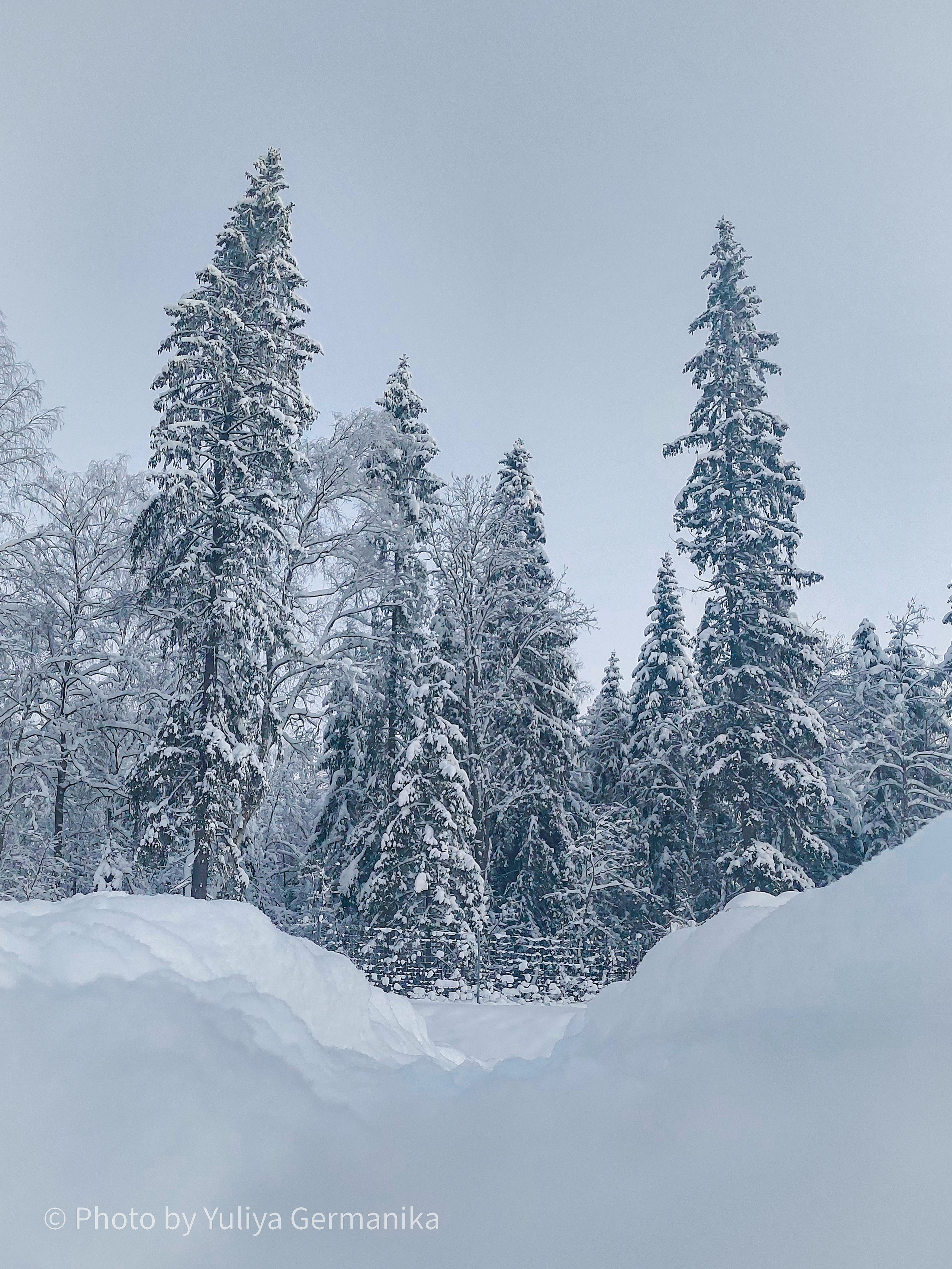 Разные фото на телефон.Города,природа. Фотограф-анималист Юлия Германика