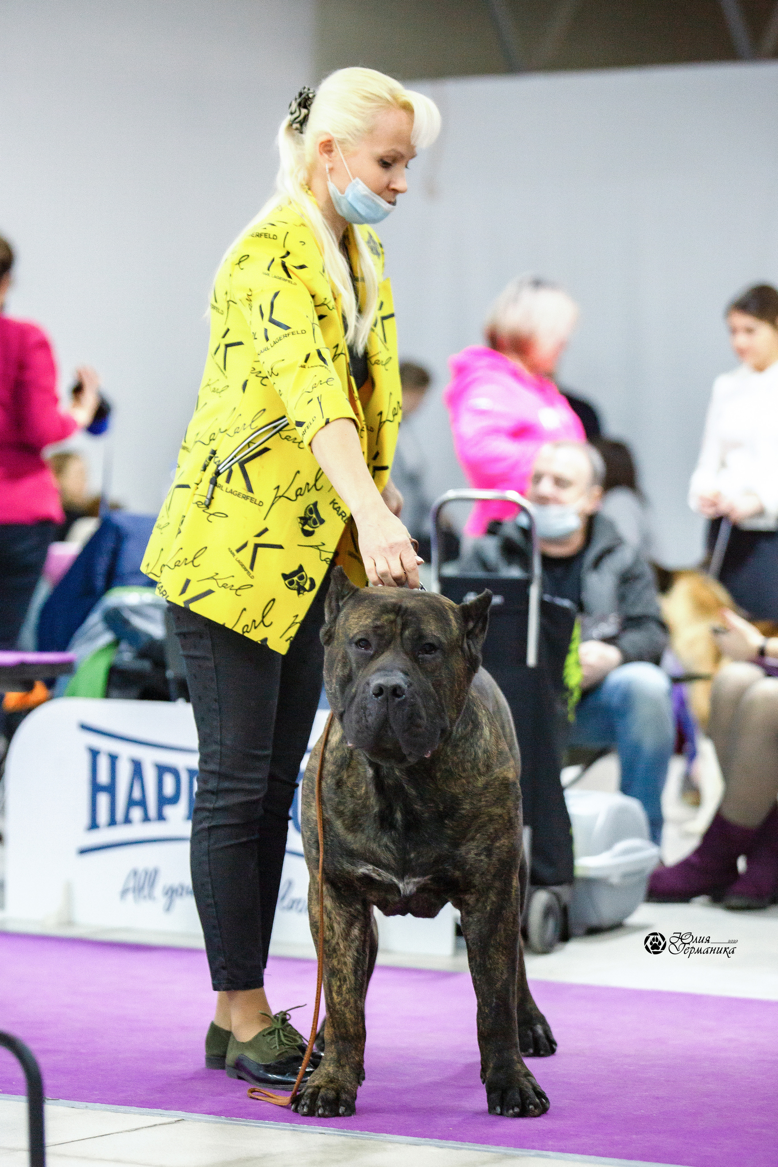 Чайна-Таун 29-30 января 2022. Фотограф-анималист Юлия Германика