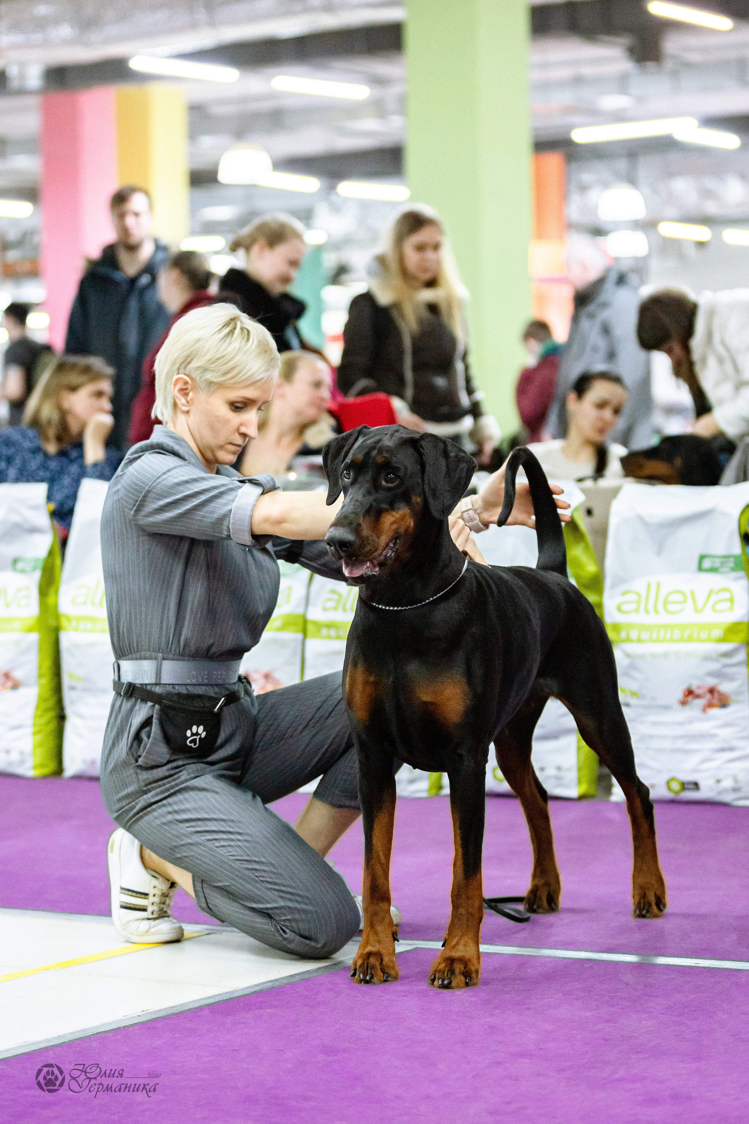 Чайна-Таун ПК Доберманов  3 апреля 2022. Фотограф-анималист Юлия Германика