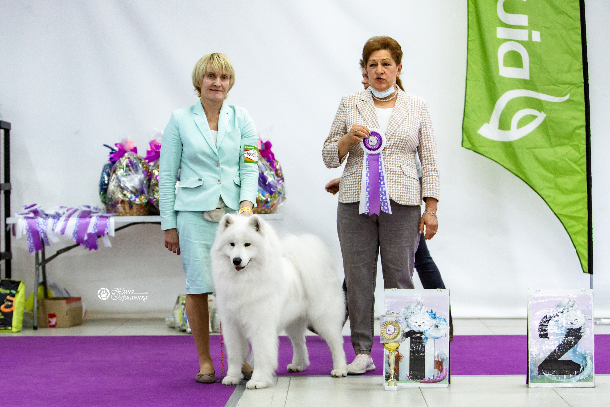 Чайна-Таун 18,26 и 29 декабря 2021. Фотограф-анималист Юлия Германика