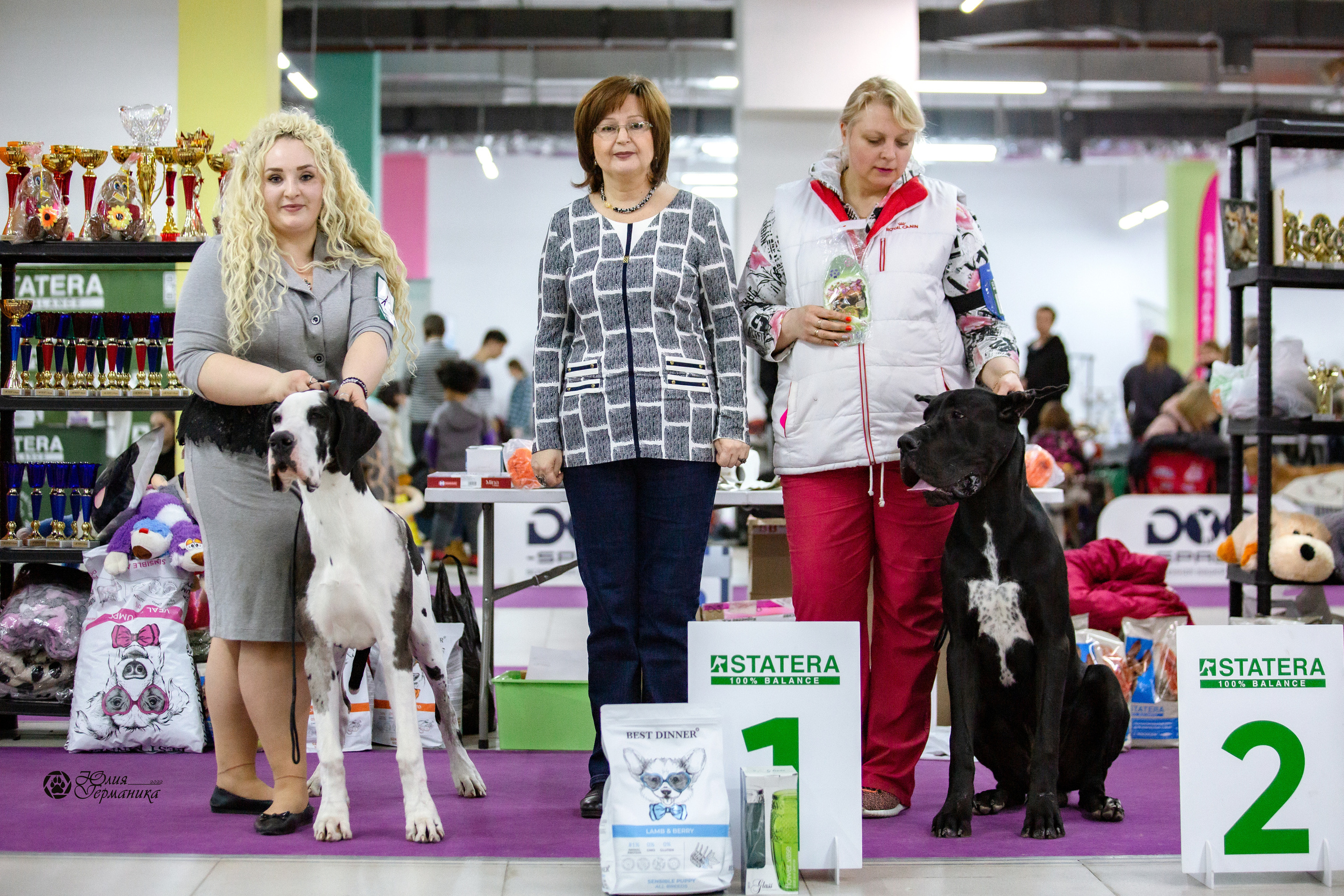 Чайна-Таун 23 февраля 2022. Фотограф-анималист Юлия Германика