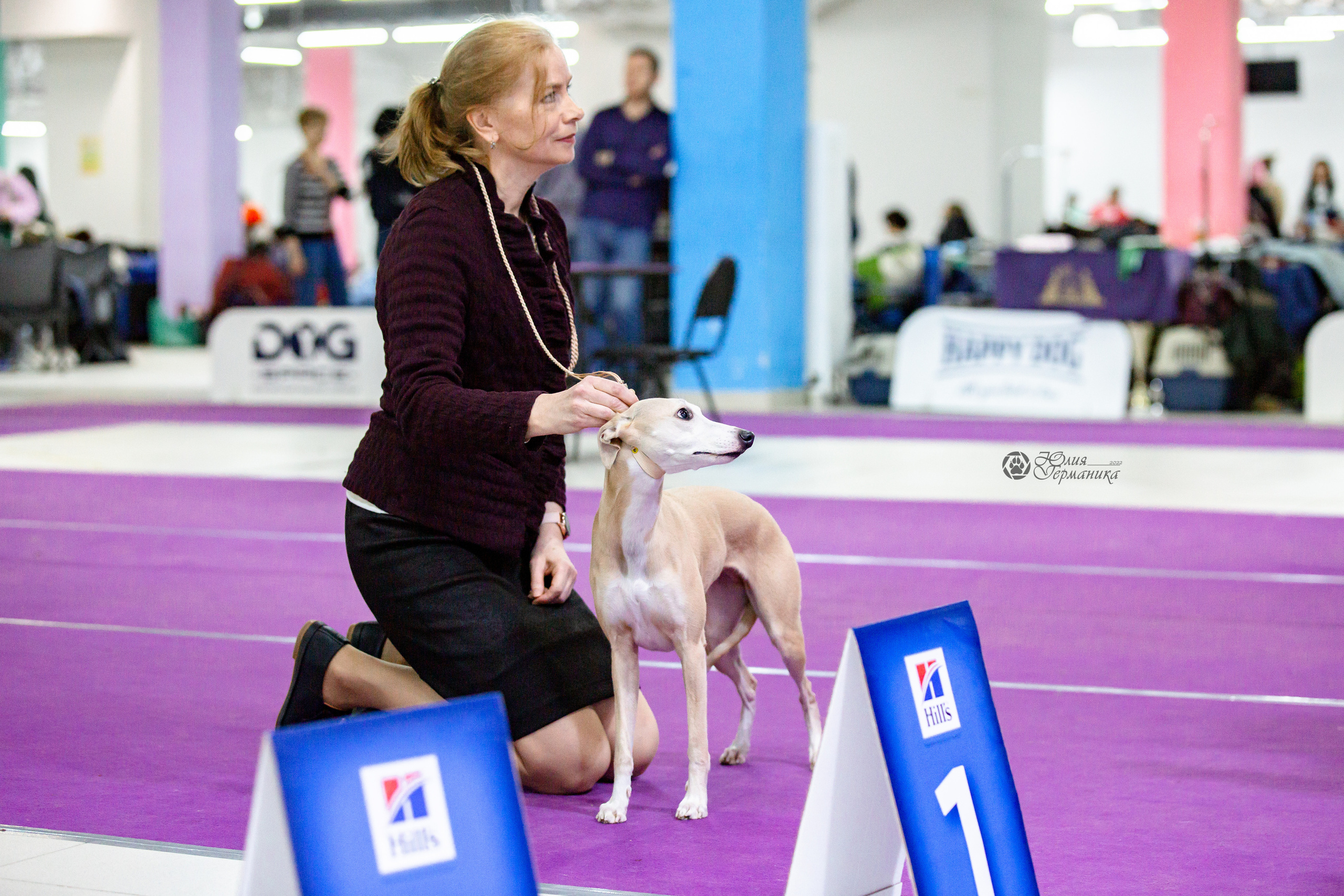 Чайна-Таун 24 и 27 марта 2022. Фотограф-анималист Юлия Германика