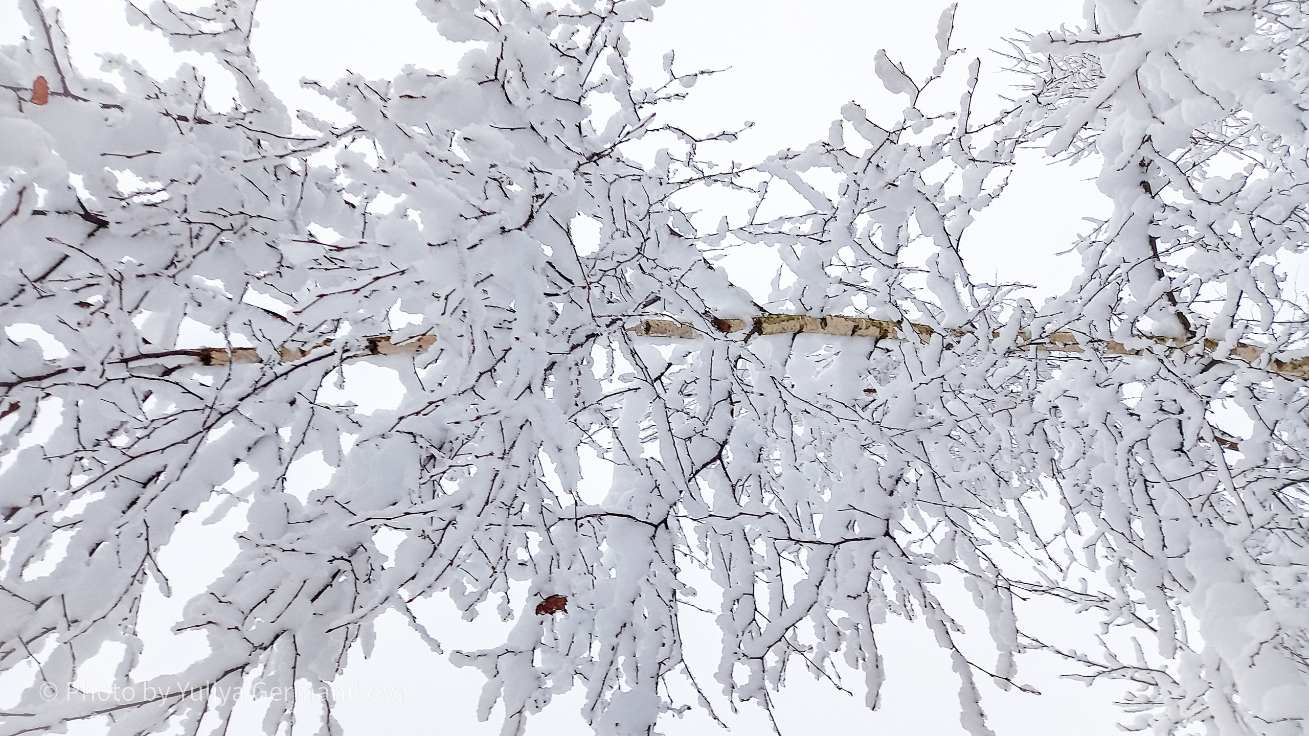 Разные фото на телефон.Города,природа. Фотограф-анималист Юлия Германика