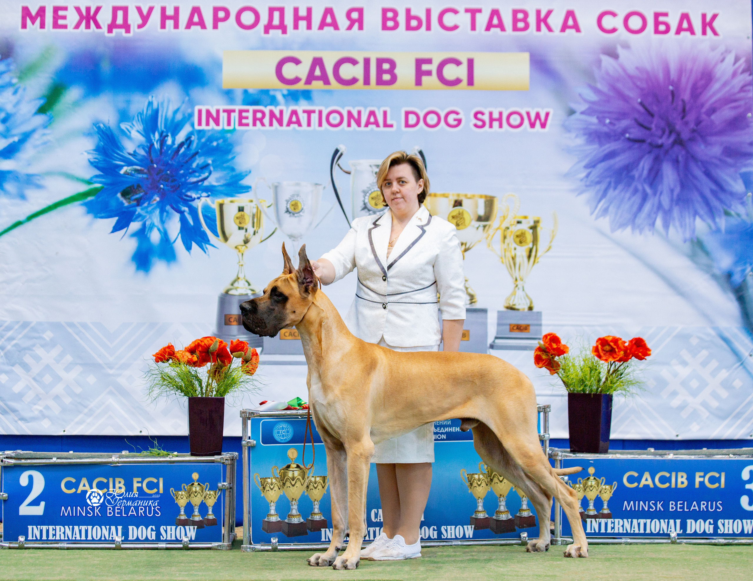 Минск 2хCACIB 5-6 марта 2022. Фотограф-анималист Юлия Германика