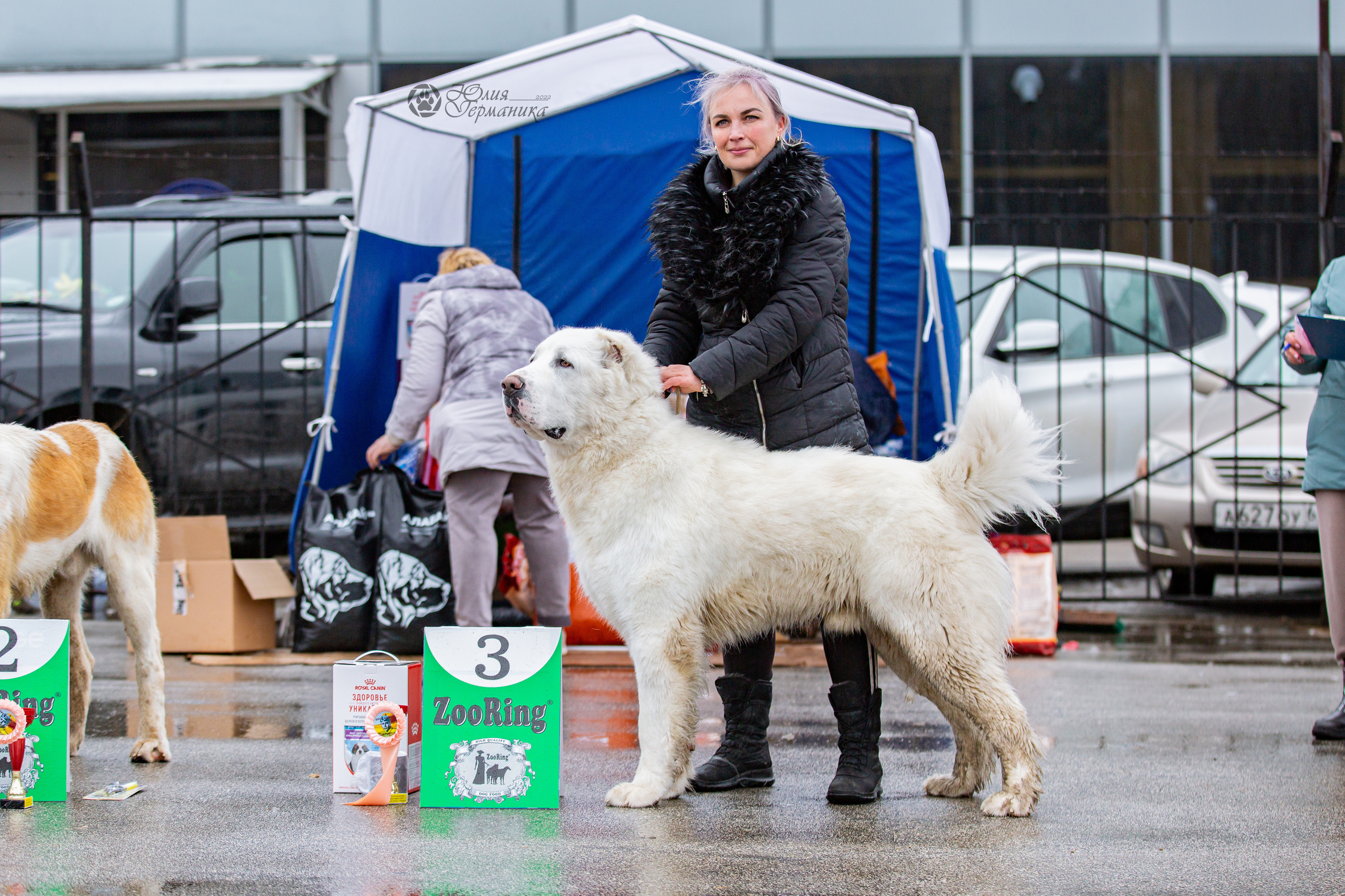 2хМОНО САО Рязань 02 апреля 2022. Фотограф-анималист Юлия Германика