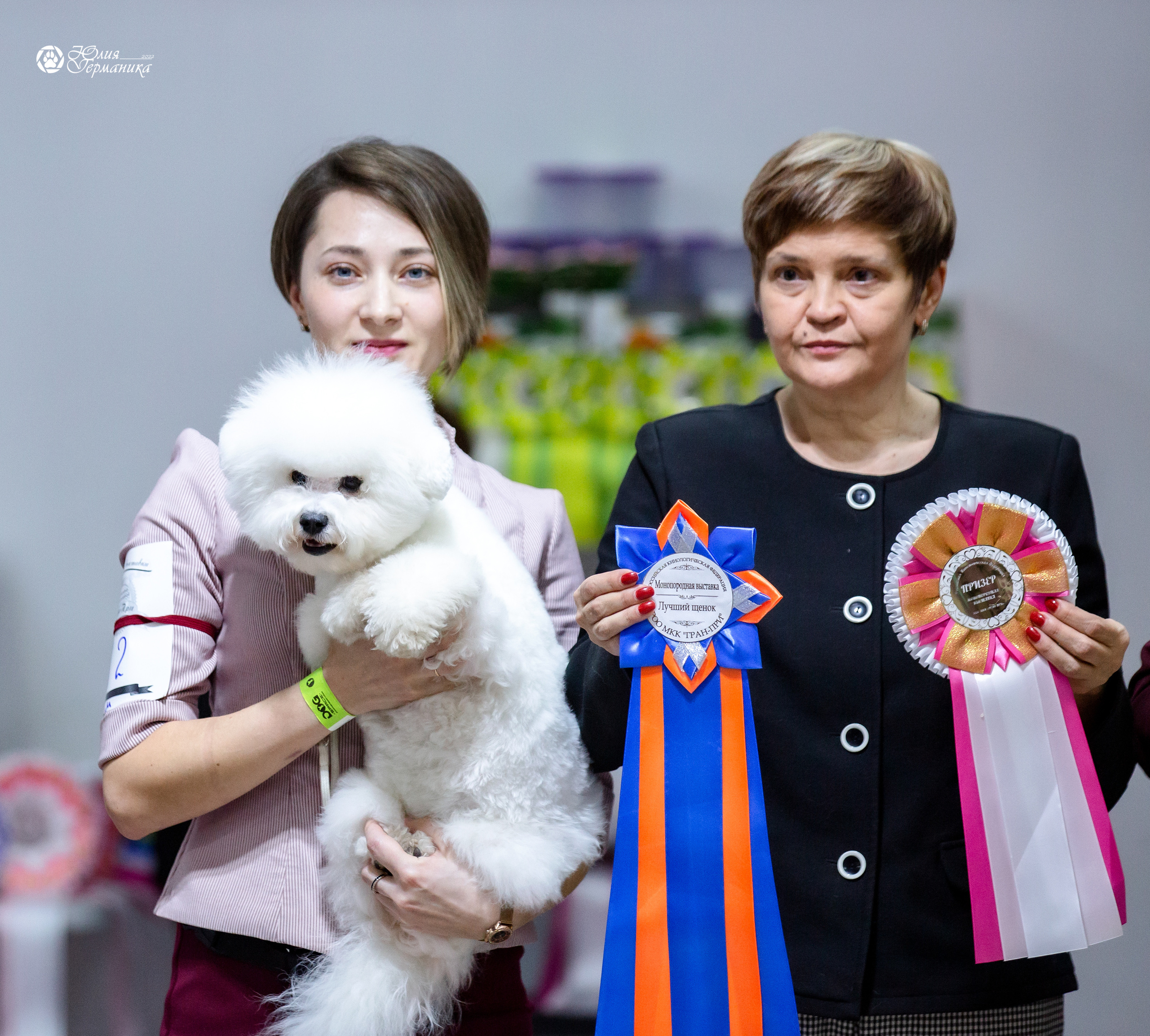 Чайна-Таун 12-13 февраля 2022. Фотограф-анималист Юлия Германика