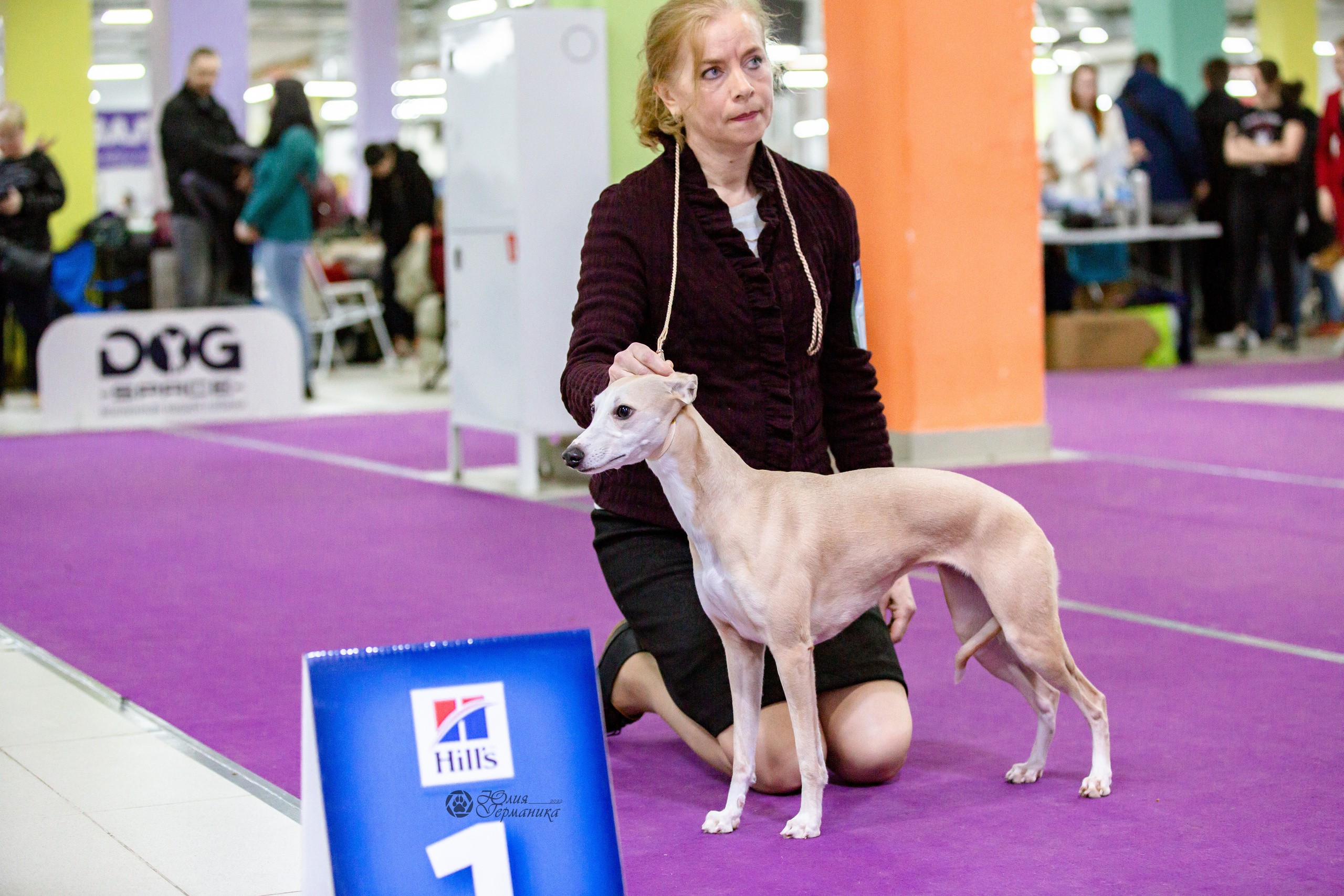 Чайна-Таун 24 и 27 марта 2022. Фотограф-анималист Юлия Германика