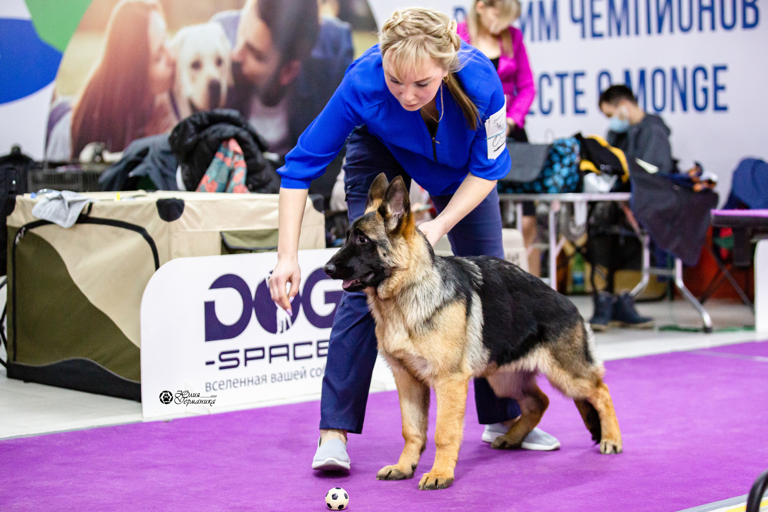 Чайна-Таун 12-13 февраля 2022. Фотограф-анималист Юлия Германика