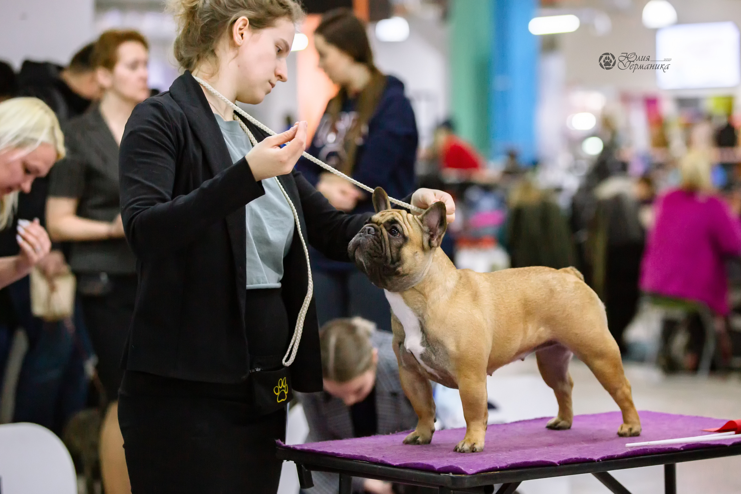 Чайна-Таун 24 и 27 марта 2022. Фотограф-анималист Юлия Германика