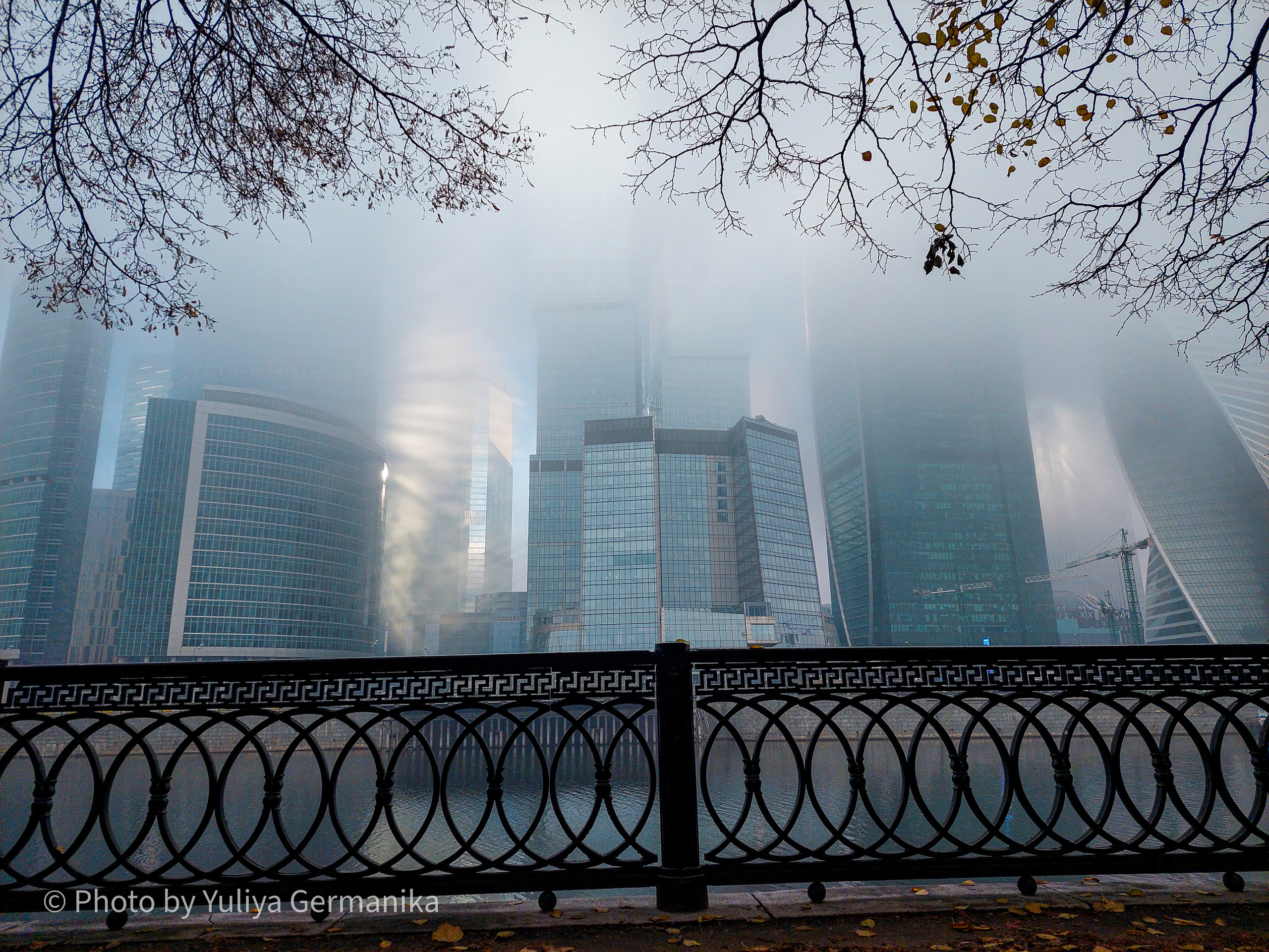 Разные фото на телефон.Города,природа. Фотограф-анималист Юлия Германика