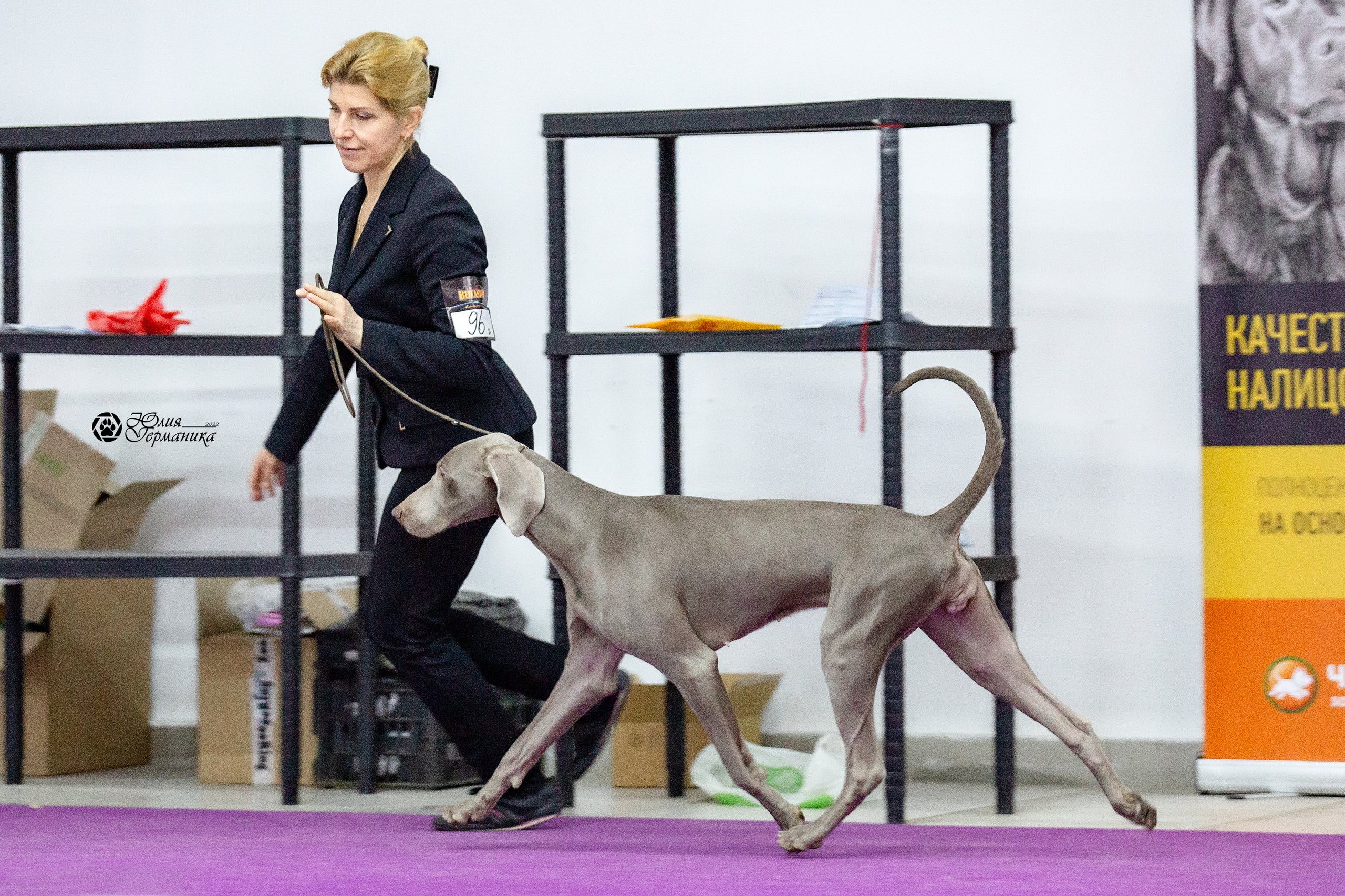 Чайна-Таун 29-30 января 2022. Фотограф-анималист Юлия Германика