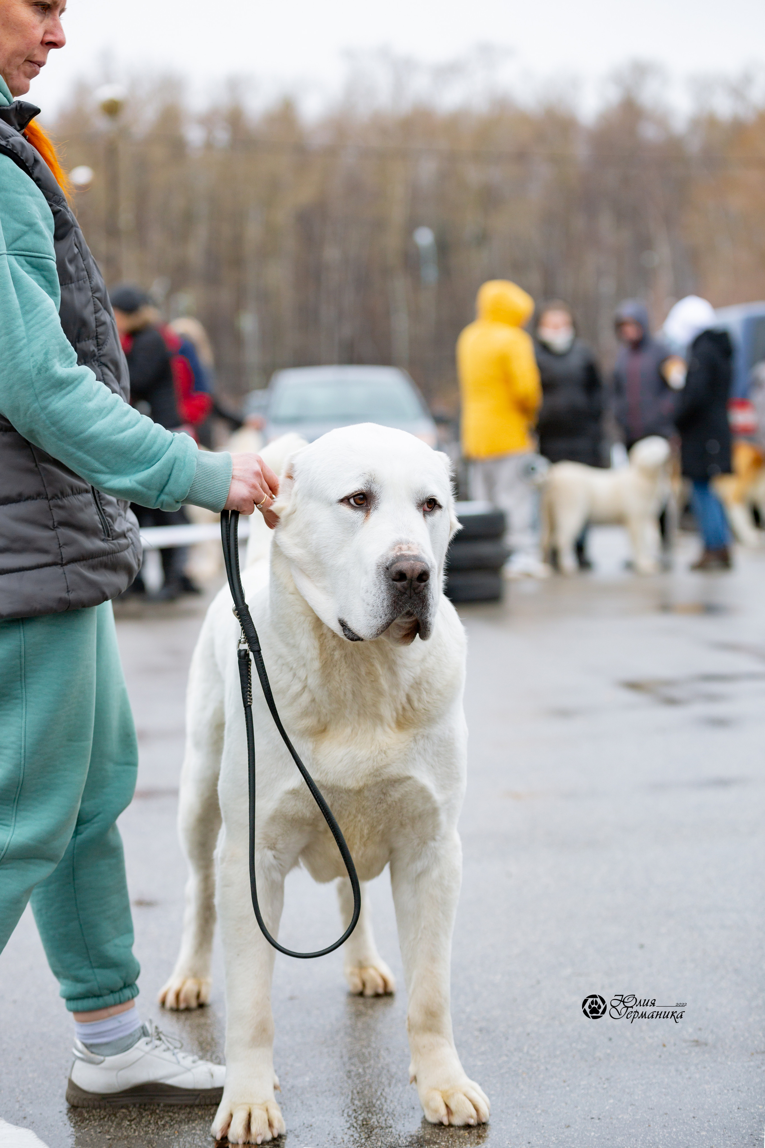 2хМОНО САО Рязань 02 апреля 2022. Фотограф-анималист Юлия Германика