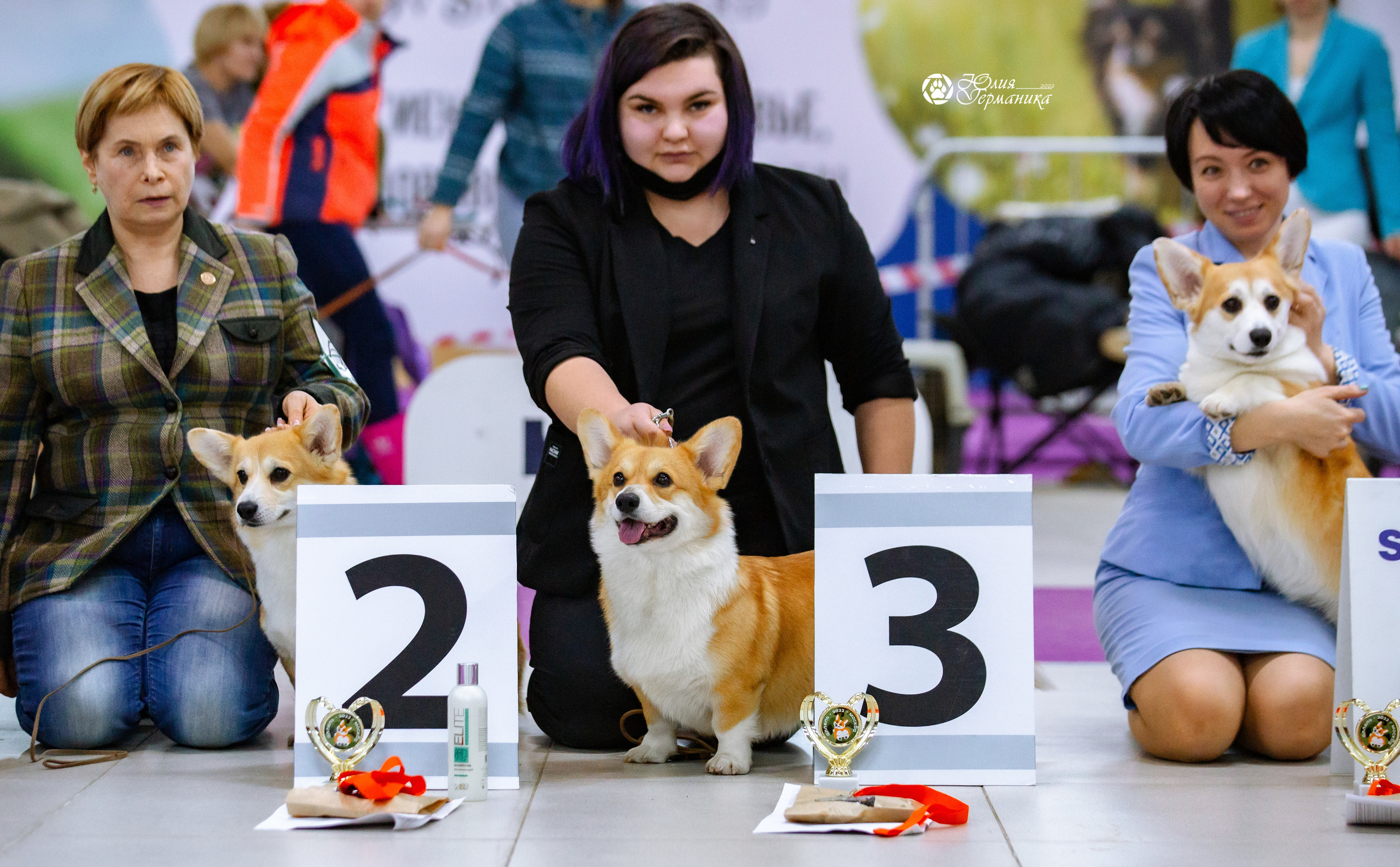 Чайна-Таун 23 февраля 2022. Фотограф-анималист Юлия Германика
