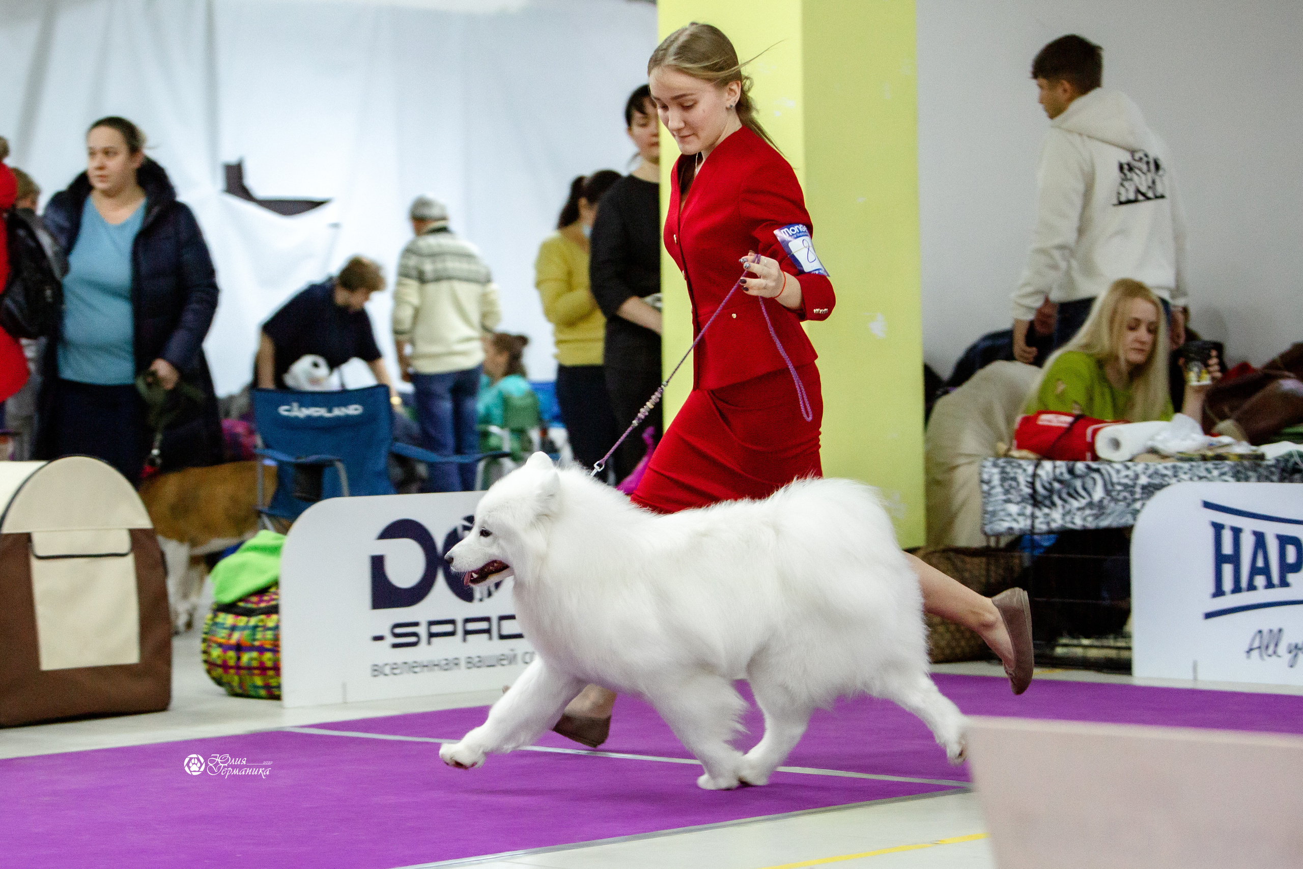 Чайна-Таун 8 января 2022. Фотограф-анималист Юлия Германика