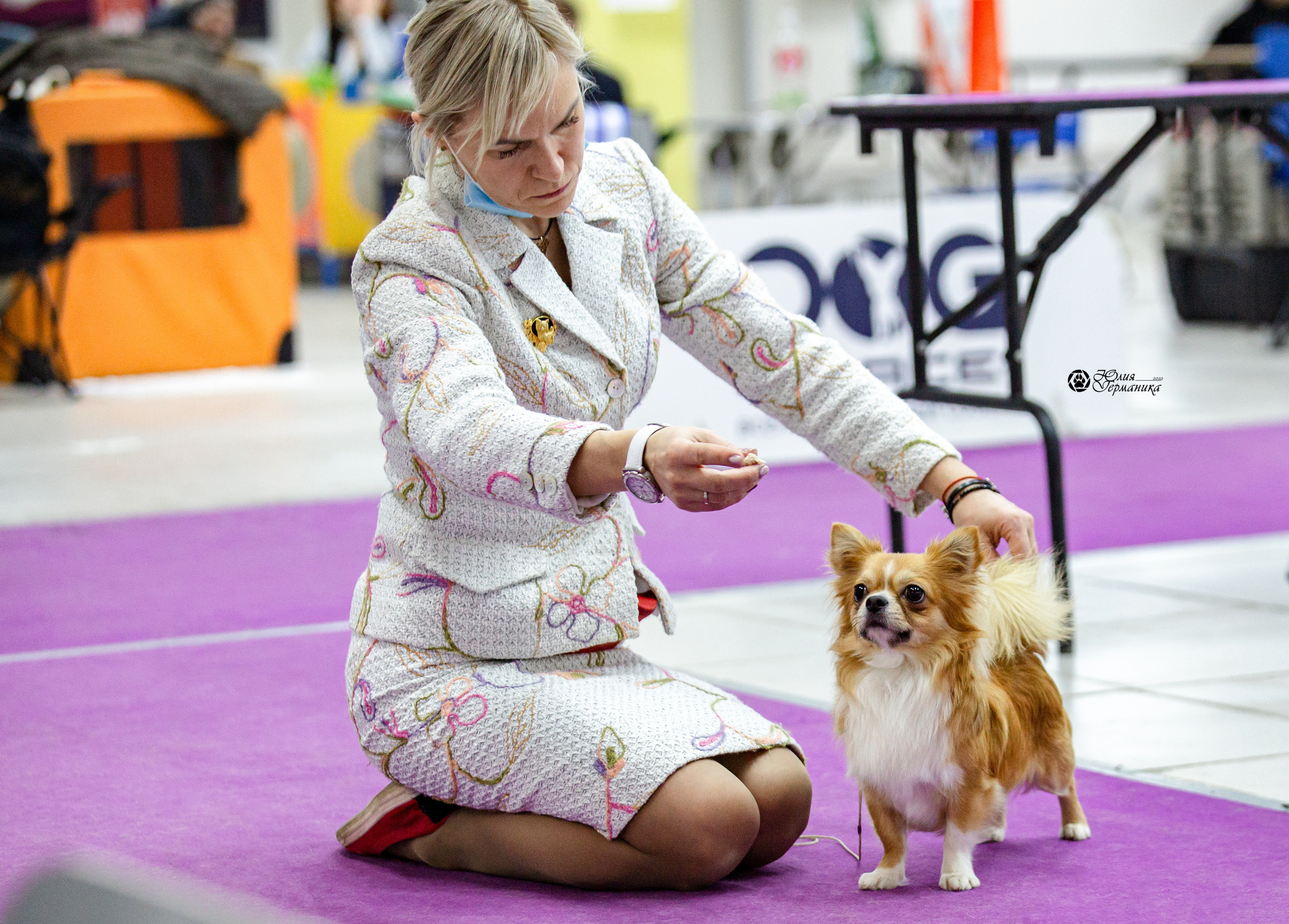 Чайна-Таун 29-30 января 2022. Фотограф-анималист Юлия Германика
