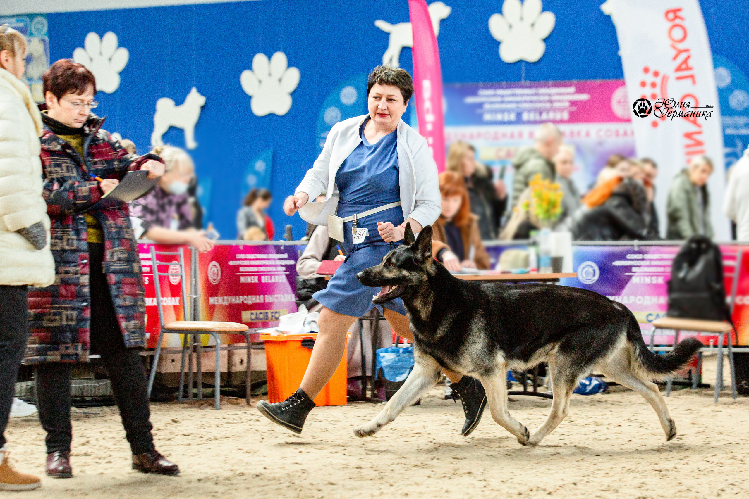 Минск 2хCACIB 5-6 марта 2022. Фотограф-анималист Юлия Германика