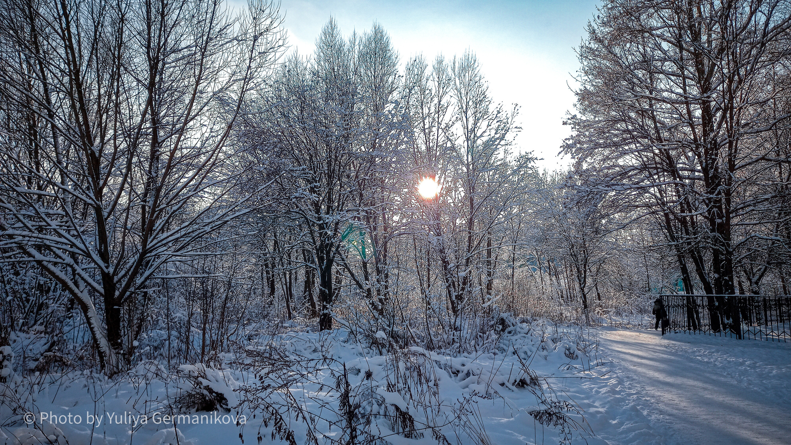 Разные фото на телефон.Города,природа. Фотограф-анималист Юлия Германика