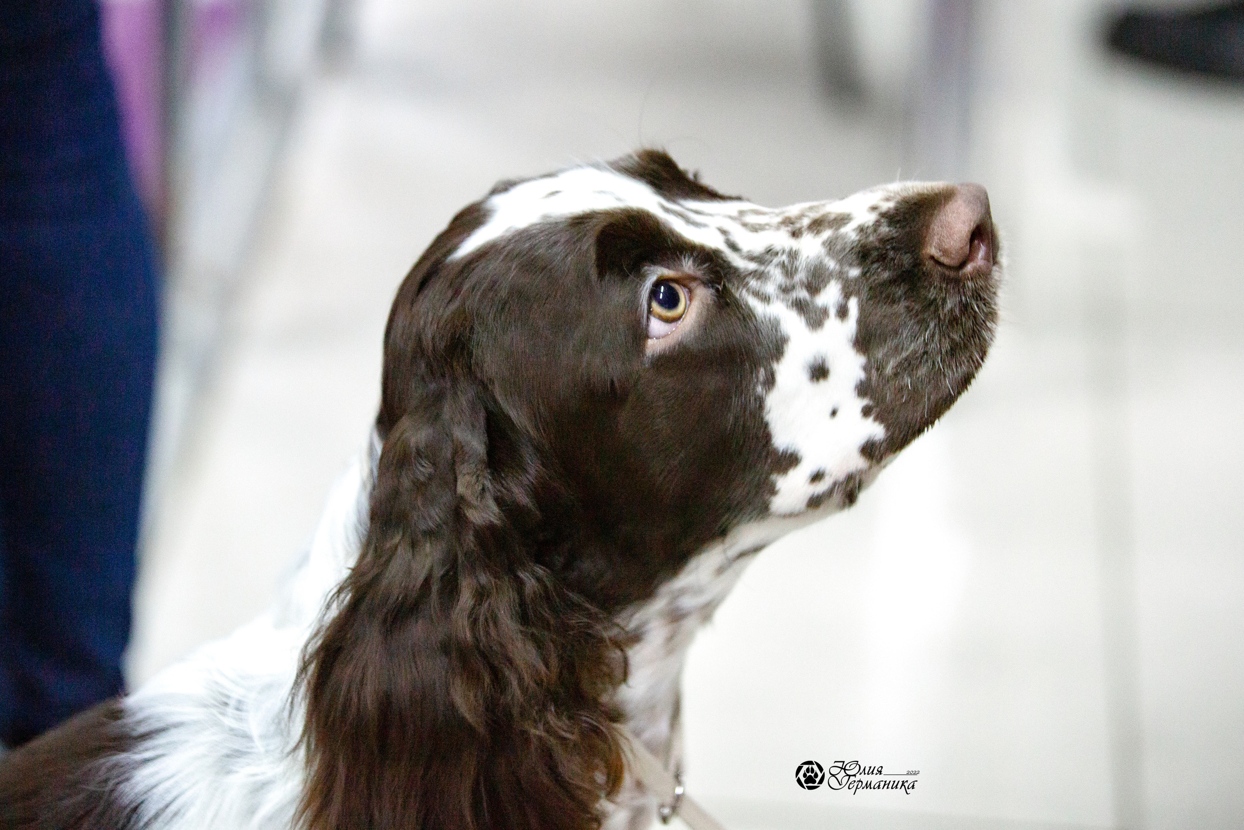 Чайна-Таун 23 февраля 2022