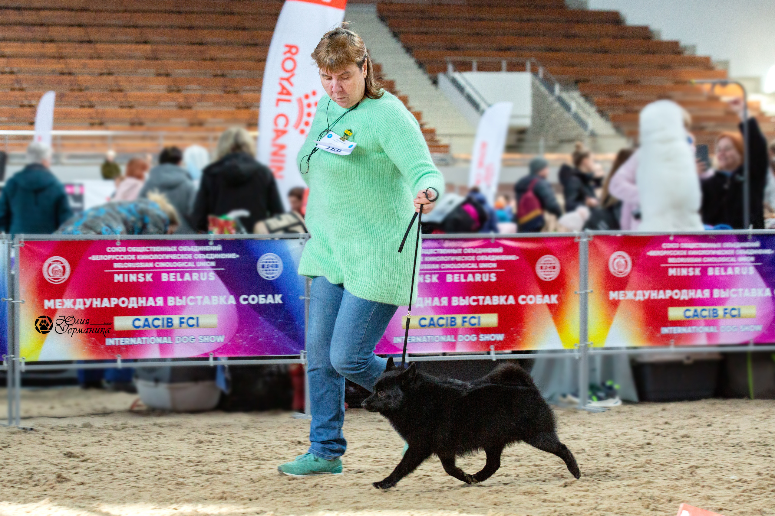 Минск 2хCACIB 5-6 марта 2022. Фотограф-анималист Юлия Германика