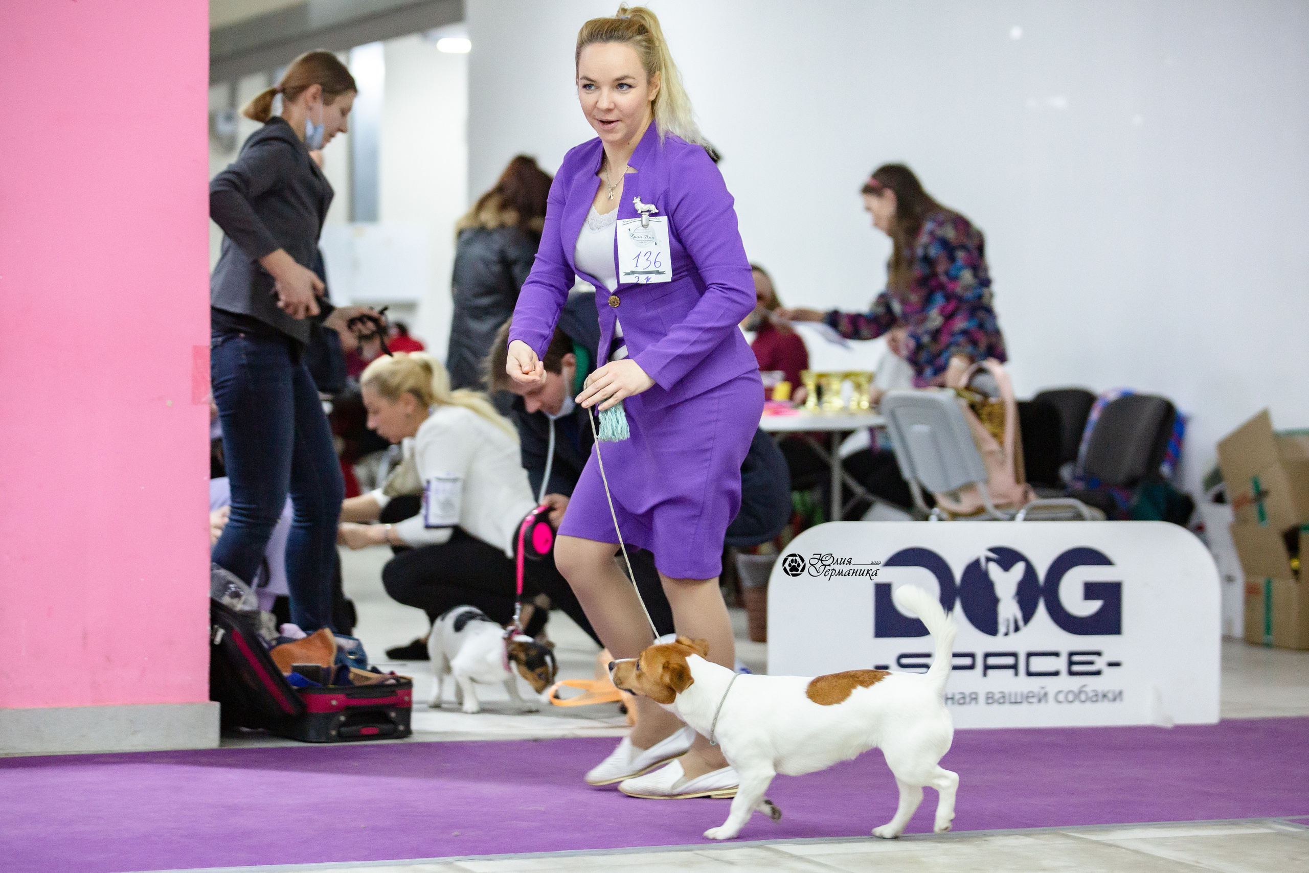 Чайна-Таун 12-13 февраля 2022. Фотограф-анималист Юлия Германика