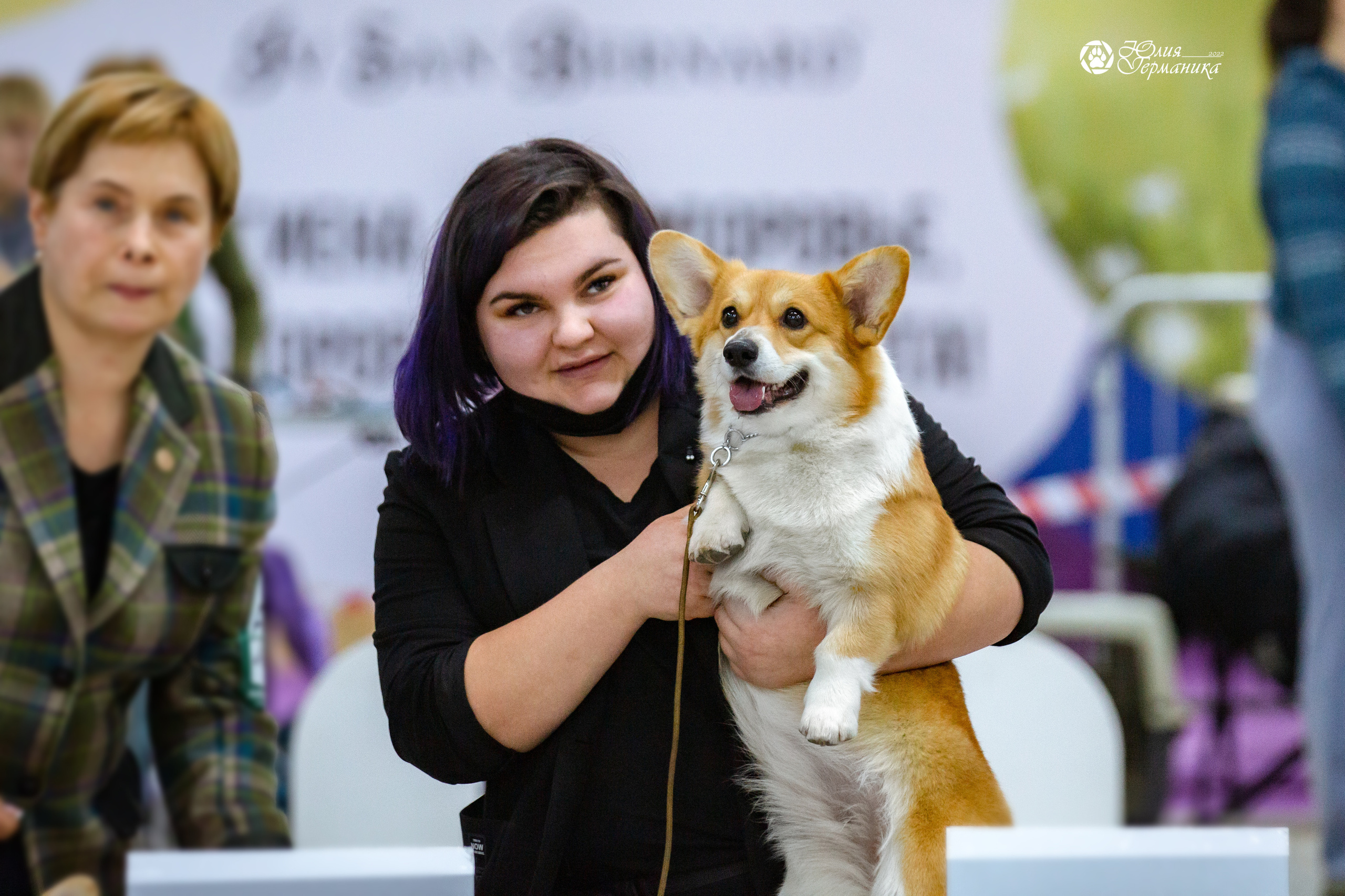 Чайна-Таун 23 февраля 2022. Фотограф-анималист Юлия Германика