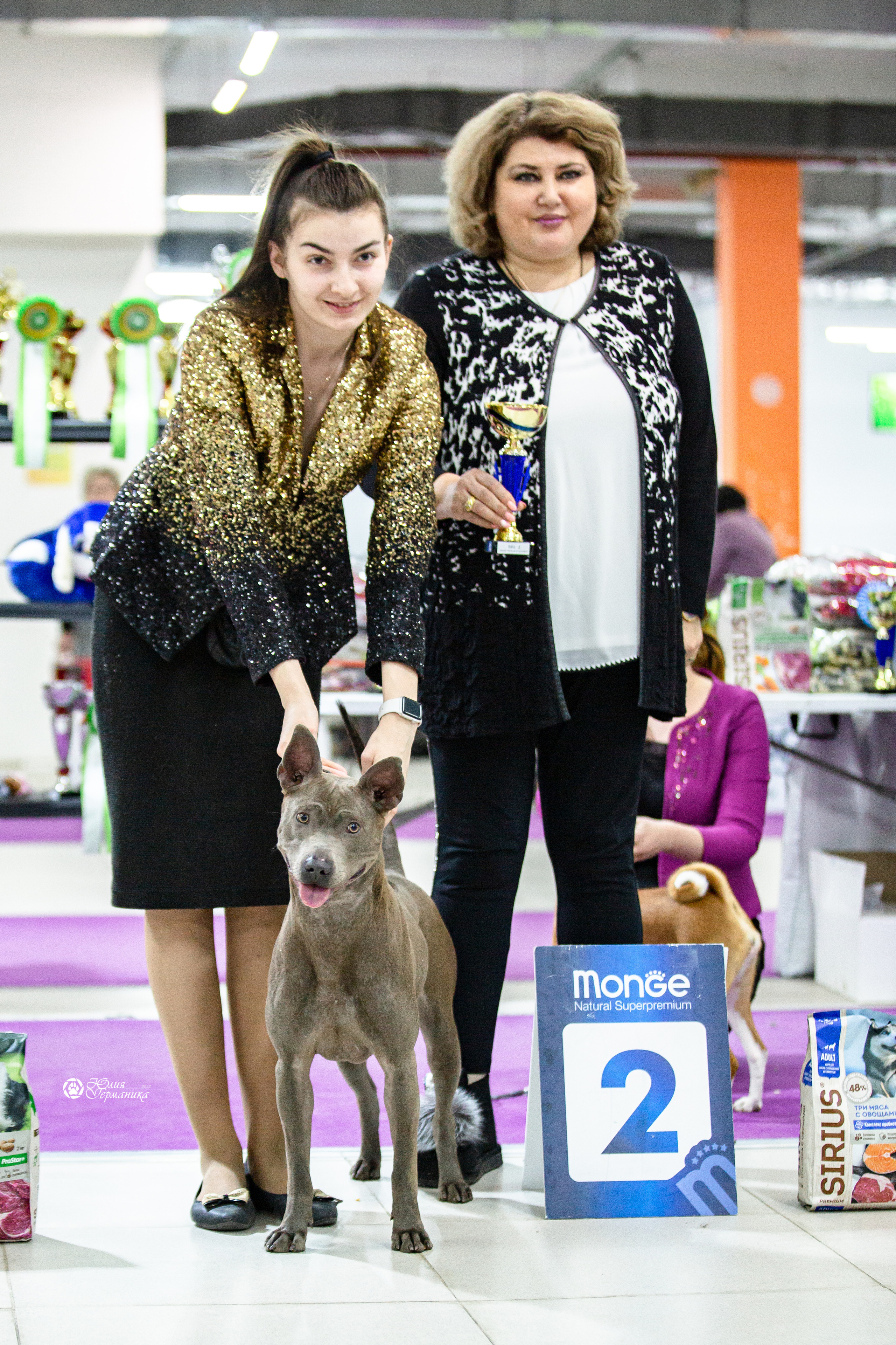 Чайна-Таун 29-30 января 2022. Фотограф-анималист Юлия Германика