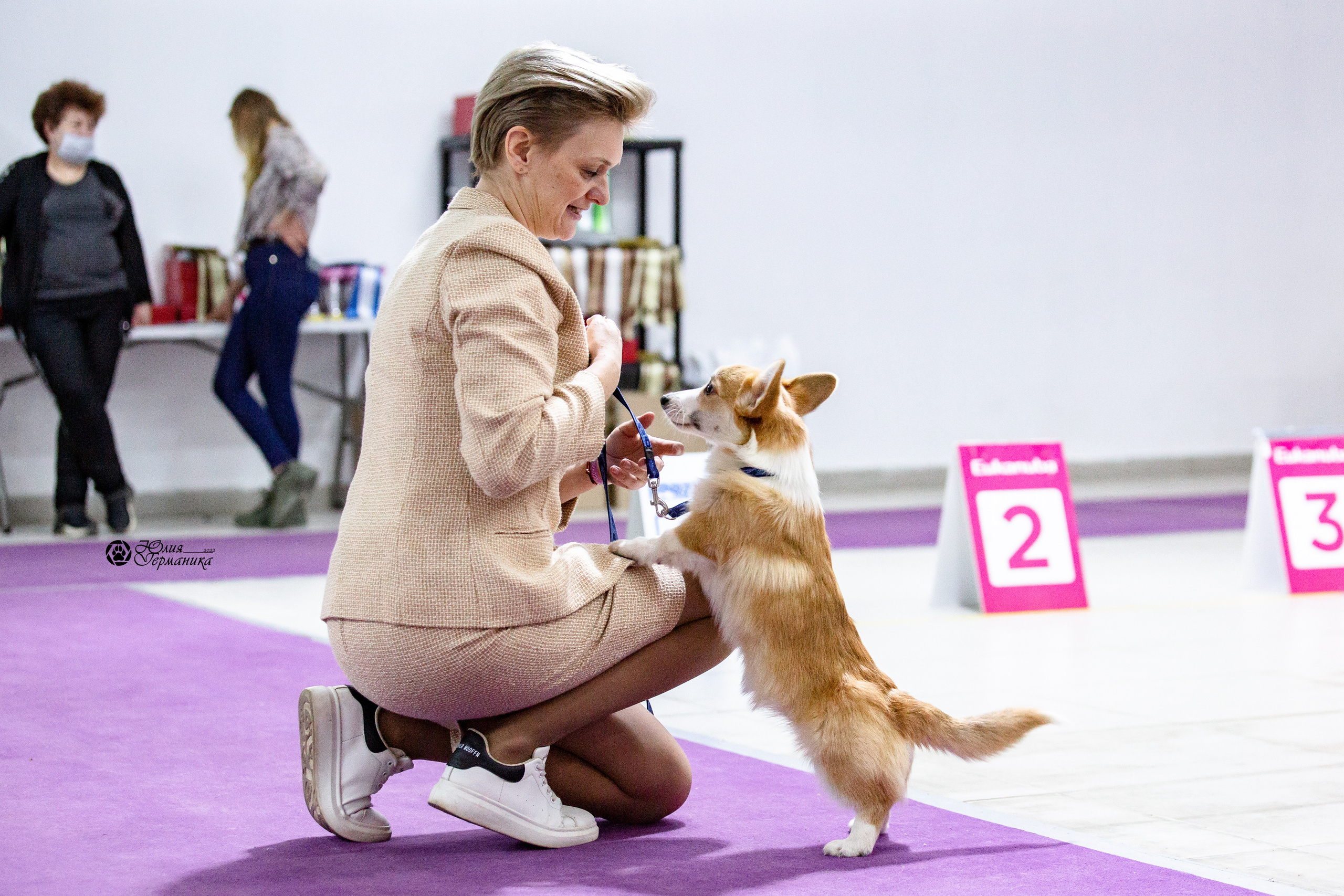 Чайна-Таун 12-13 февраля 2022. Фотограф-анималист Юлия Германика