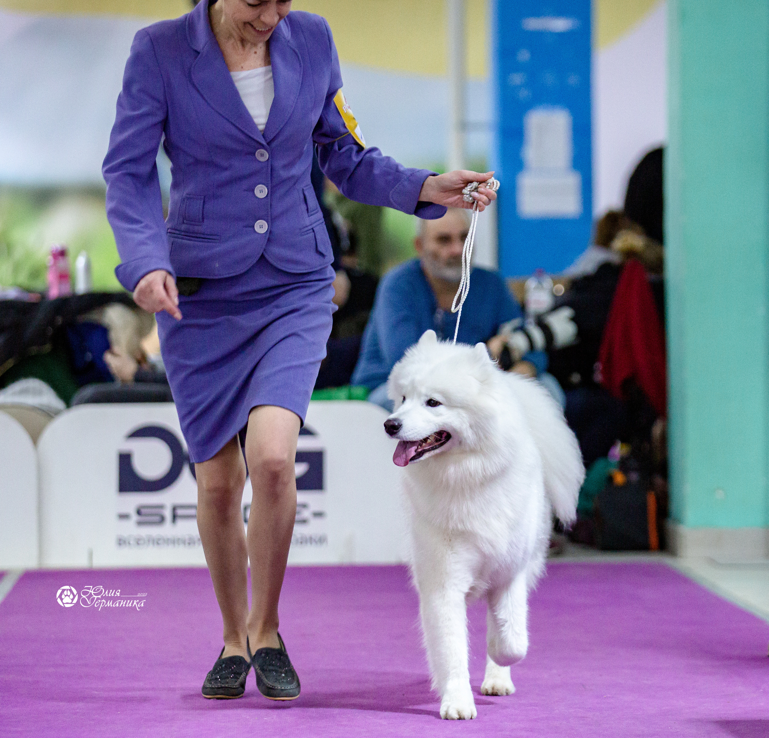 Чайна-Таун 12-13 февраля 2022. Фотограф-анималист Юлия Германика