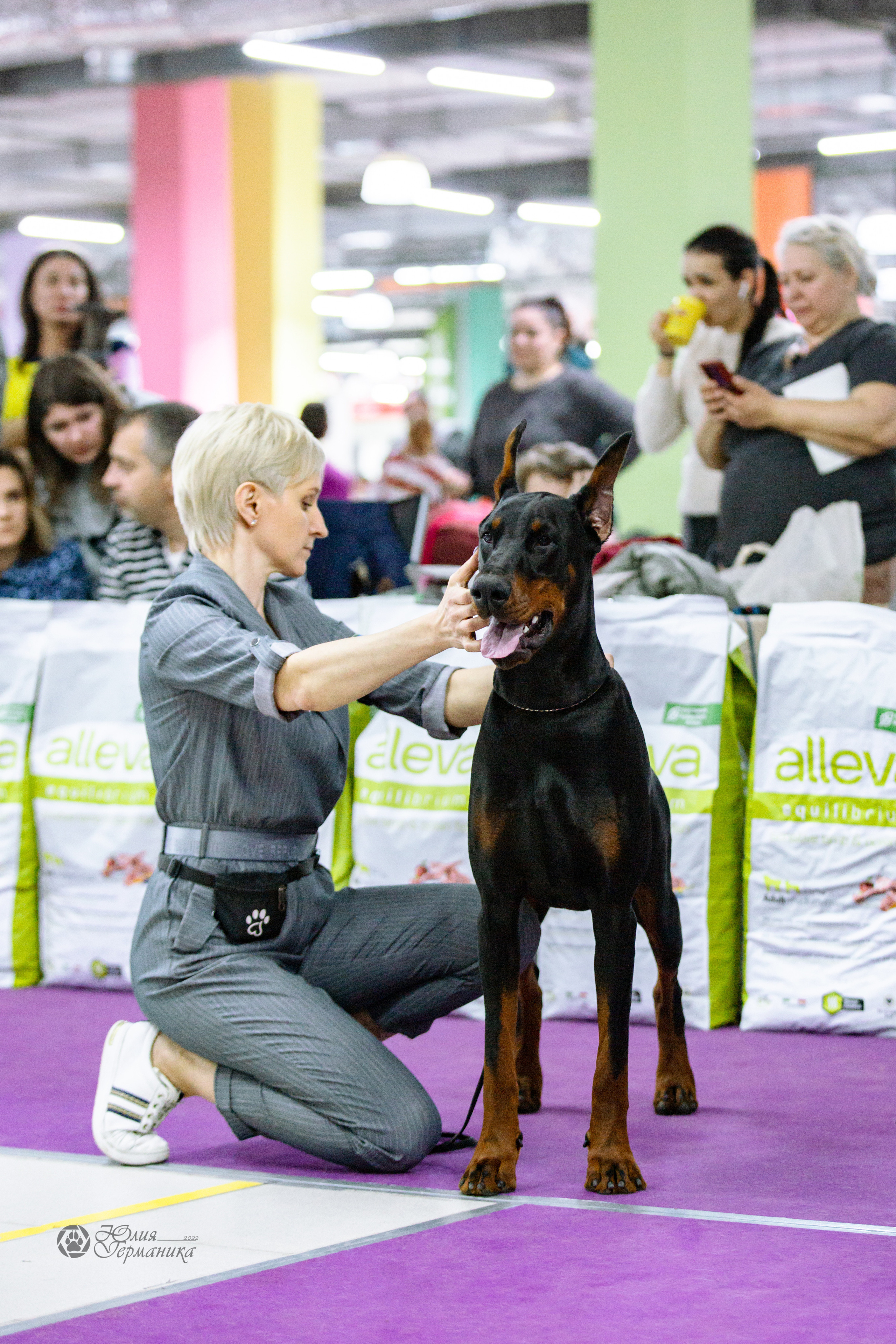 Чайна-Таун ПК Доберманов  3 апреля 2022. Фотограф-анималист Юлия Германика