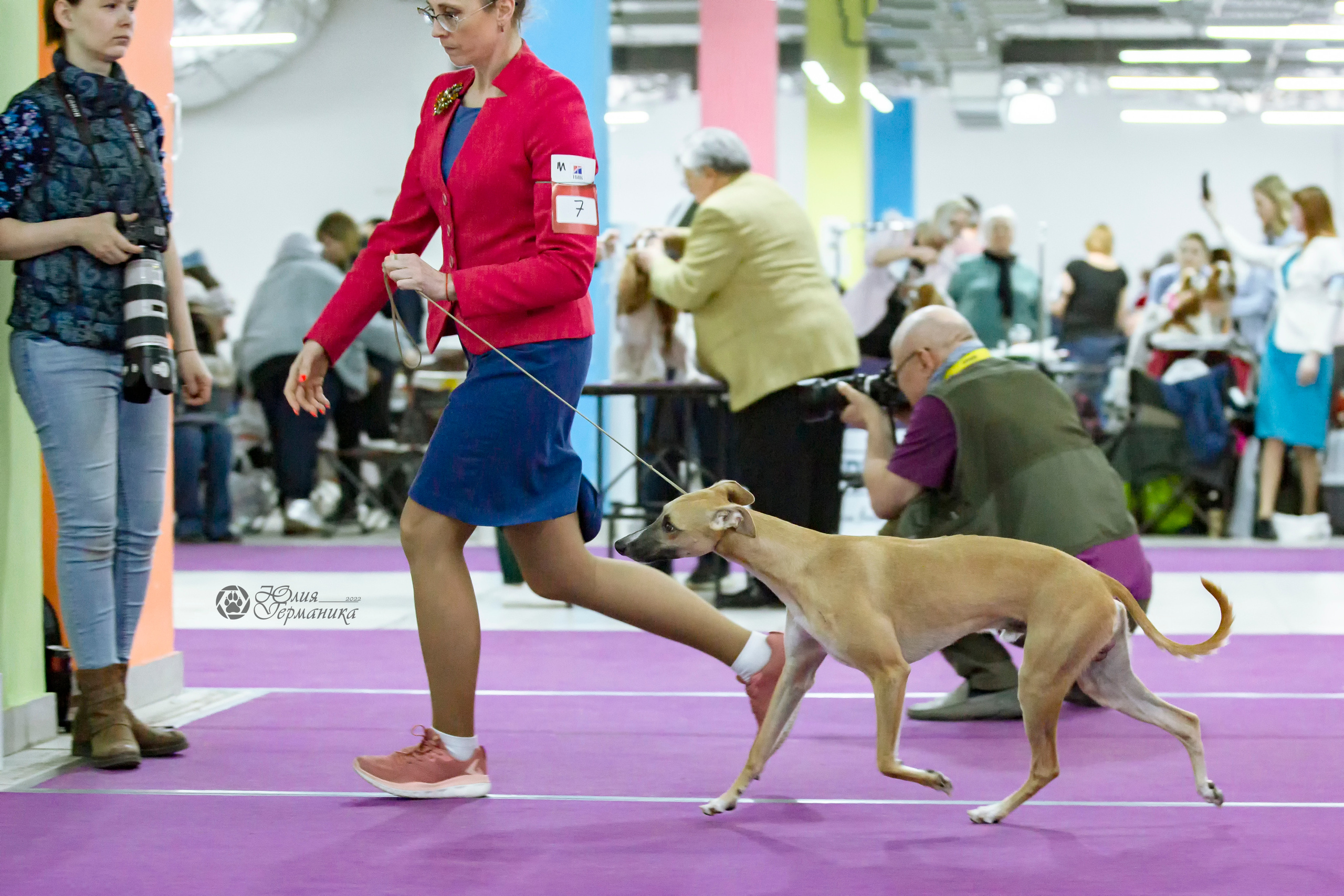 Чайна-Таун 24 и 27 марта 2022. Фотограф-анималист Юлия Германика