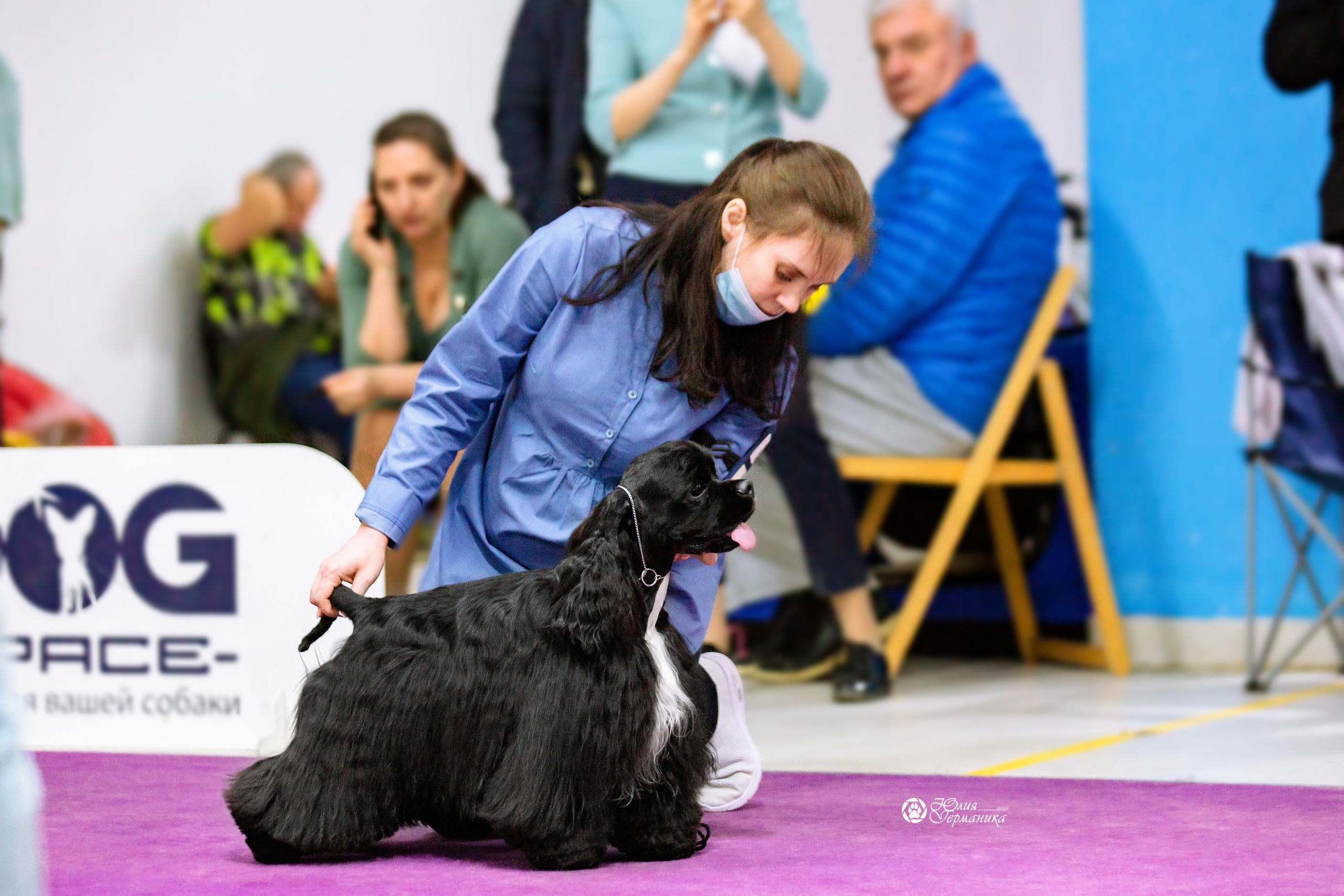 Чайна-Таун 13 и 20 марта 2022. Фотограф-анималист Юлия Германика